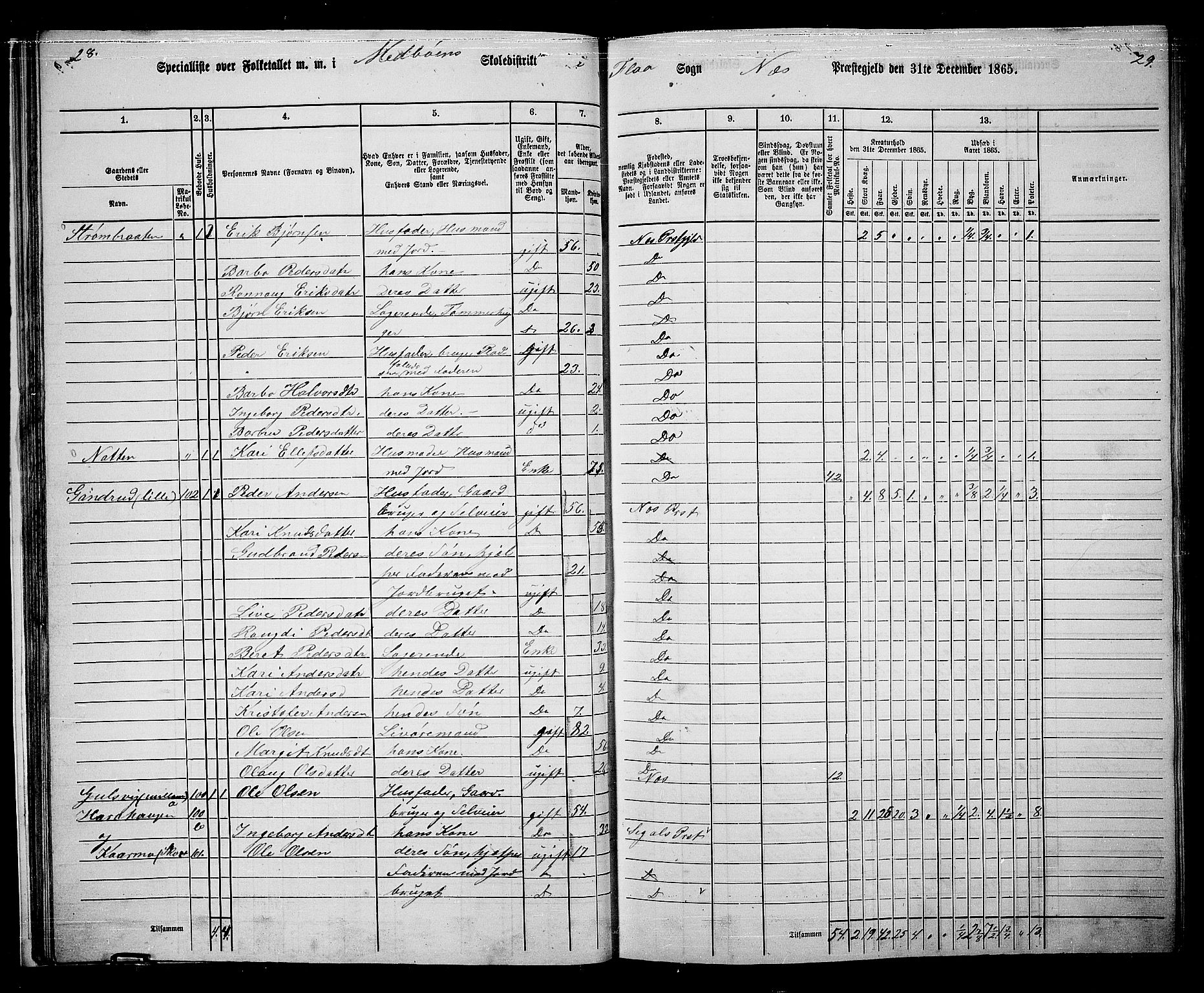 RA, 1865 census for Nes, 1865, p. 32