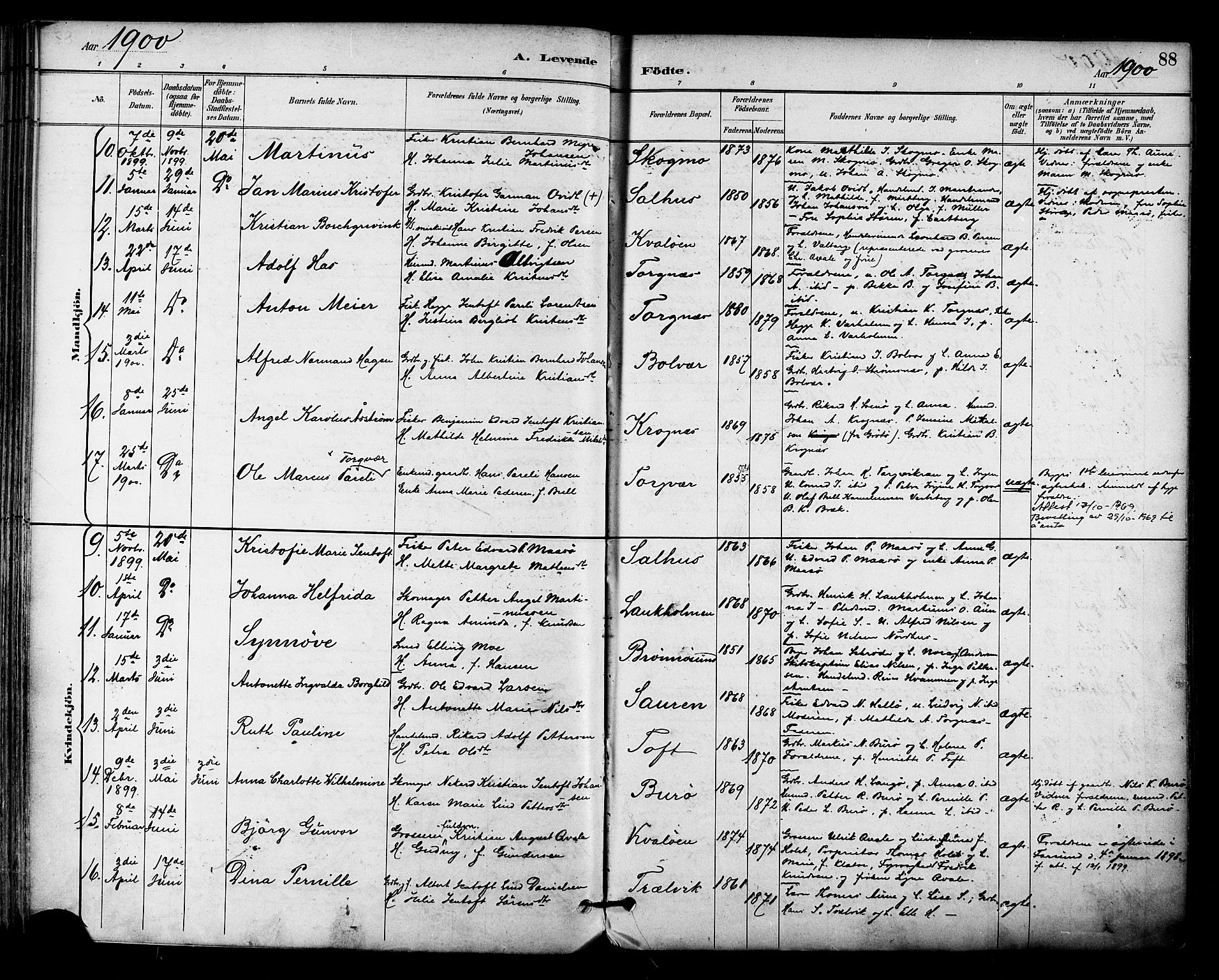 Ministerialprotokoller, klokkerbøker og fødselsregistre - Nordland, AV/SAT-A-1459/813/L0200: Parish register (official) no. 813A10, 1886-1900, p. 88