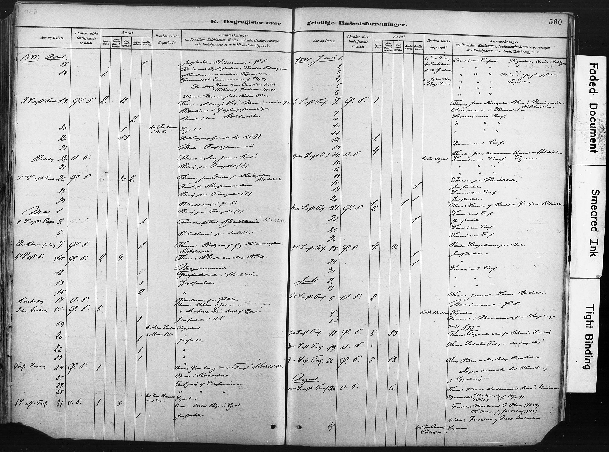 Porsgrunn kirkebøker , SAKO/A-104/F/Fa/L0008: Parish register (official) no. 8, 1878-1895, p. 560