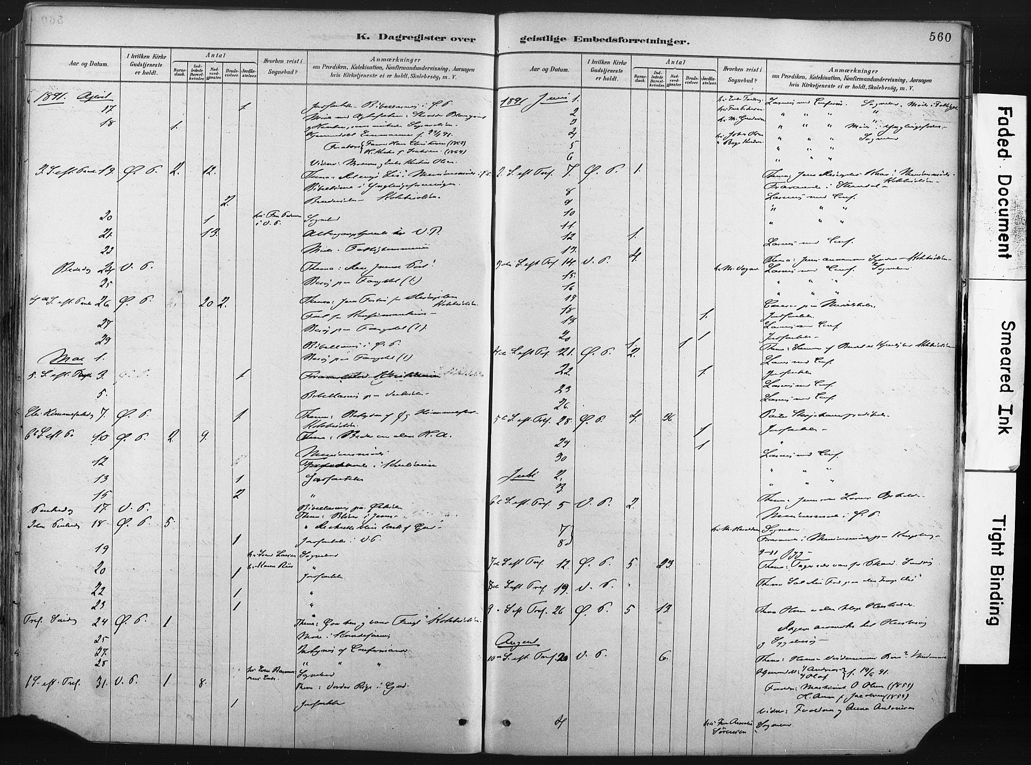 Porsgrunn kirkebøker , AV/SAKO-A-104/F/Fa/L0008: Parish register (official) no. 8, 1878-1895, p. 560