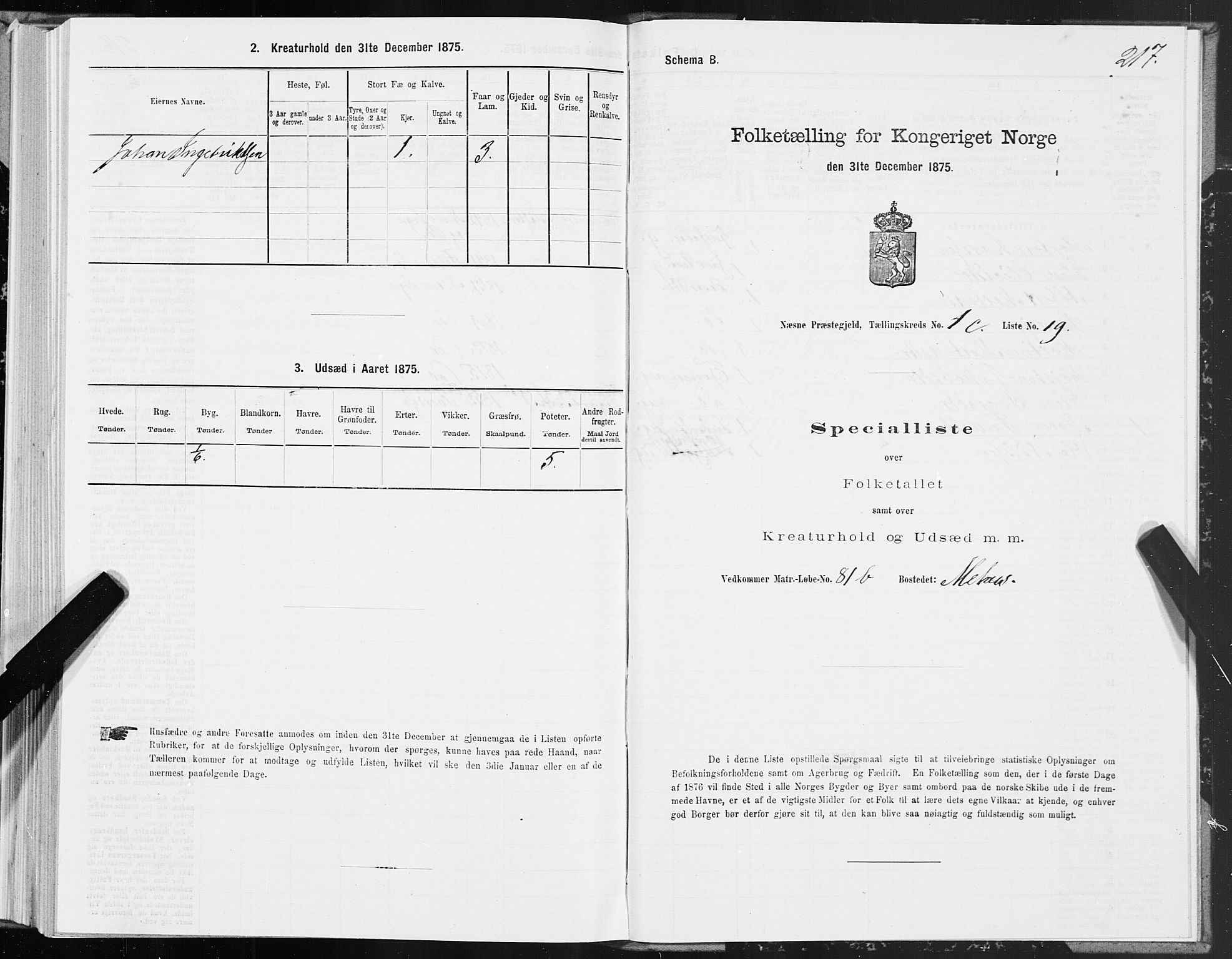 SAT, 1875 census for 1828P Nesna, 1875, p. 1217