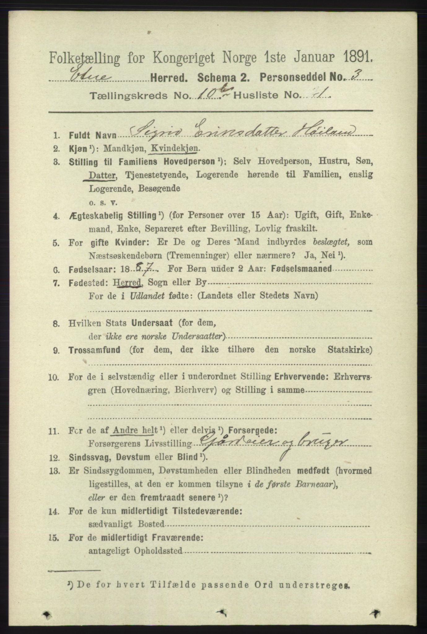 RA, 1891 census for 1211 Etne, 1891, p. 2006