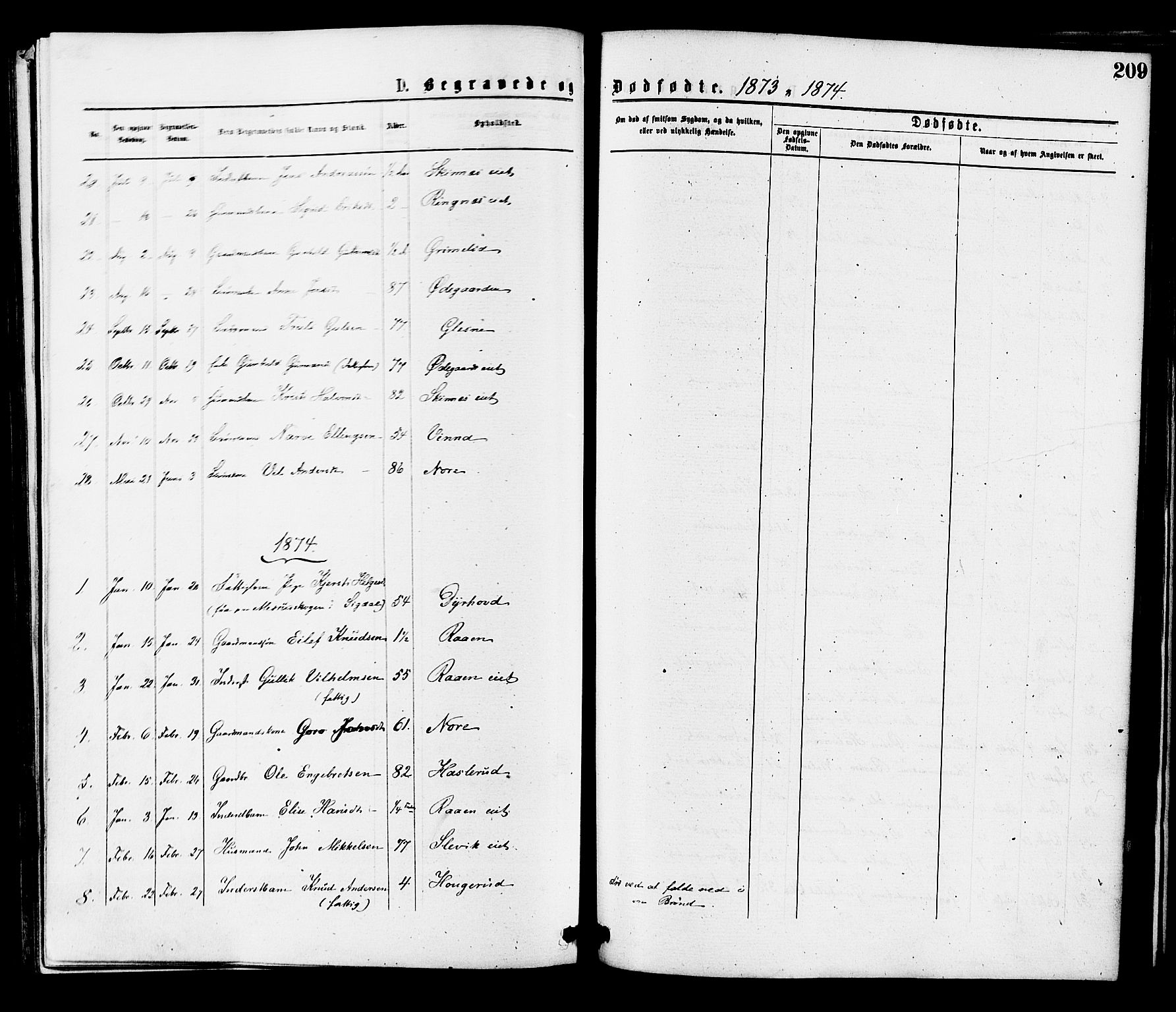 Krødsherad kirkebøker, SAKO/A-19/F/Fa/L0004: Parish register (official) no. 4, 1873-1878, p. 209