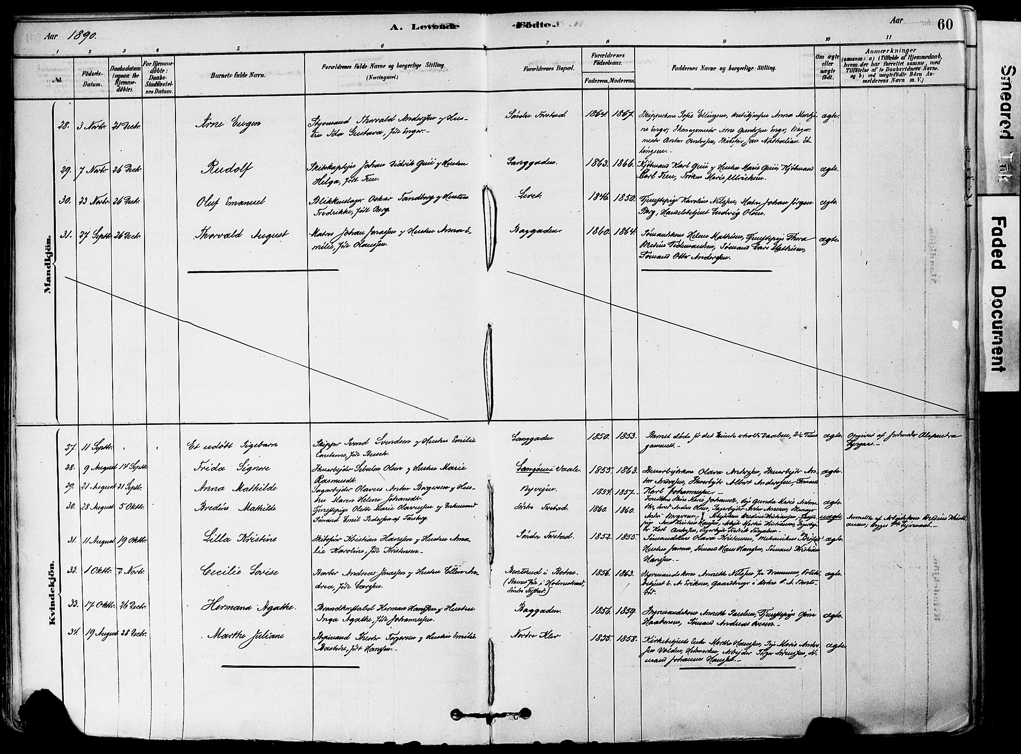 Holmestrand kirkebøker, AV/SAKO-A-346/F/Fa/L0004: Parish register (official) no. 4, 1880-1901, p. 60