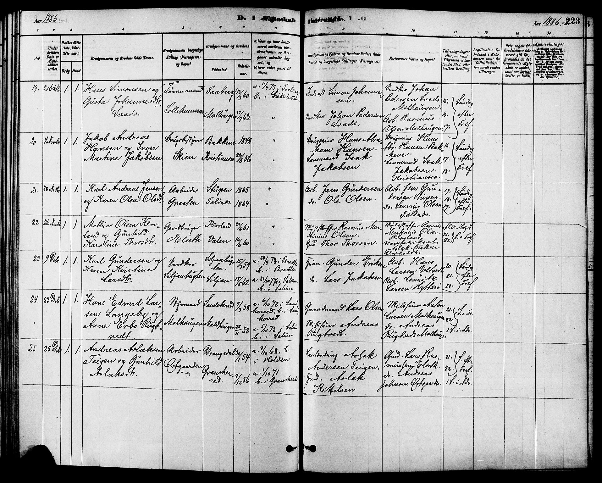 Solum kirkebøker, SAKO/A-306/F/Fa/L0009: Parish register (official) no. I 9, 1877-1887, p. 223