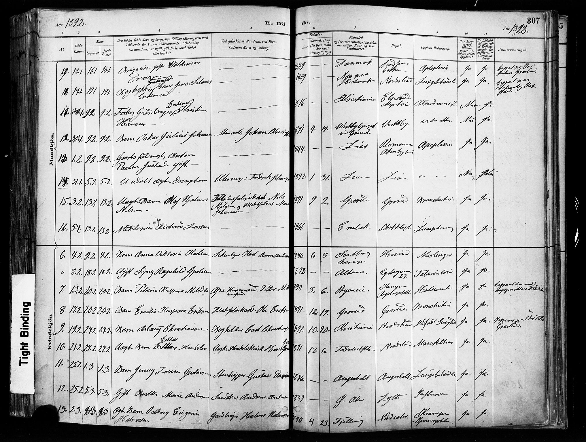 Østre Aker prestekontor Kirkebøker, AV/SAO-A-10840/F/Fa/L0008: Parish register (official) no. I 8, 1883-1894, p. 307