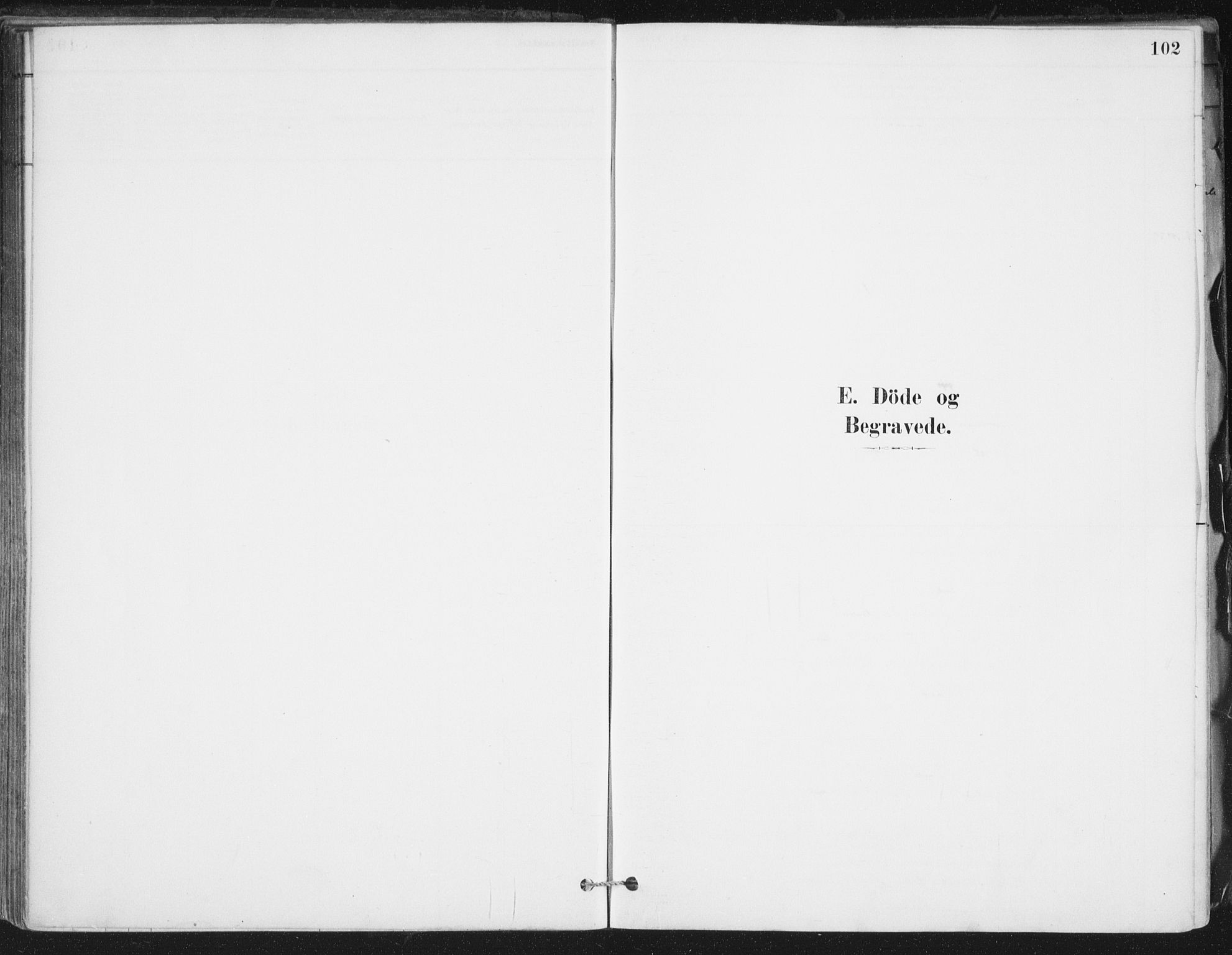 Ministerialprotokoller, klokkerbøker og fødselsregistre - Nordland, SAT/A-1459/838/L0553: Parish register (official) no. 838A11, 1880-1910, p. 102