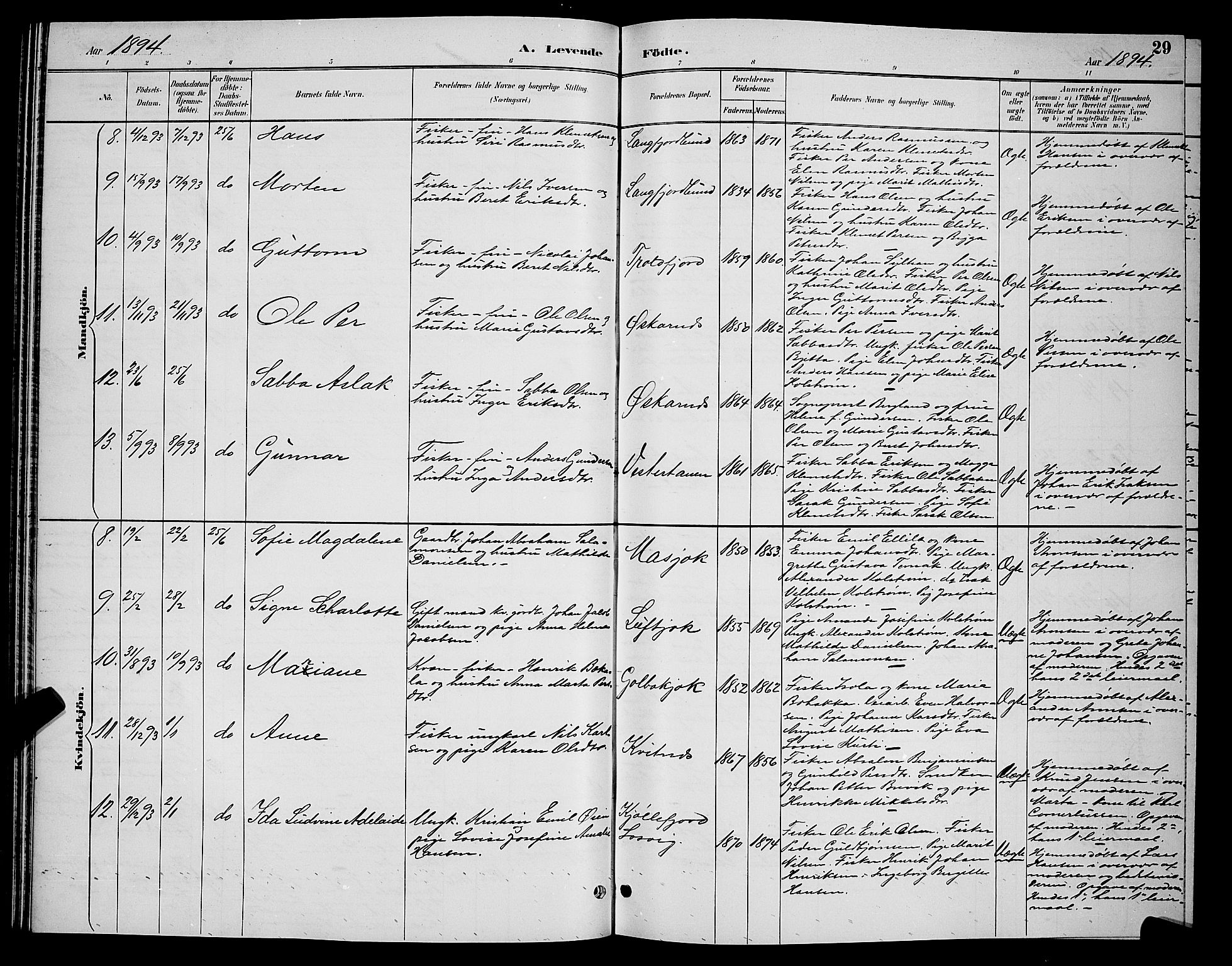 Tana sokneprestkontor, AV/SATØ-S-1334/H/Hb/L0004klokker: Parish register (copy) no. 4, 1890-1903, p. 29