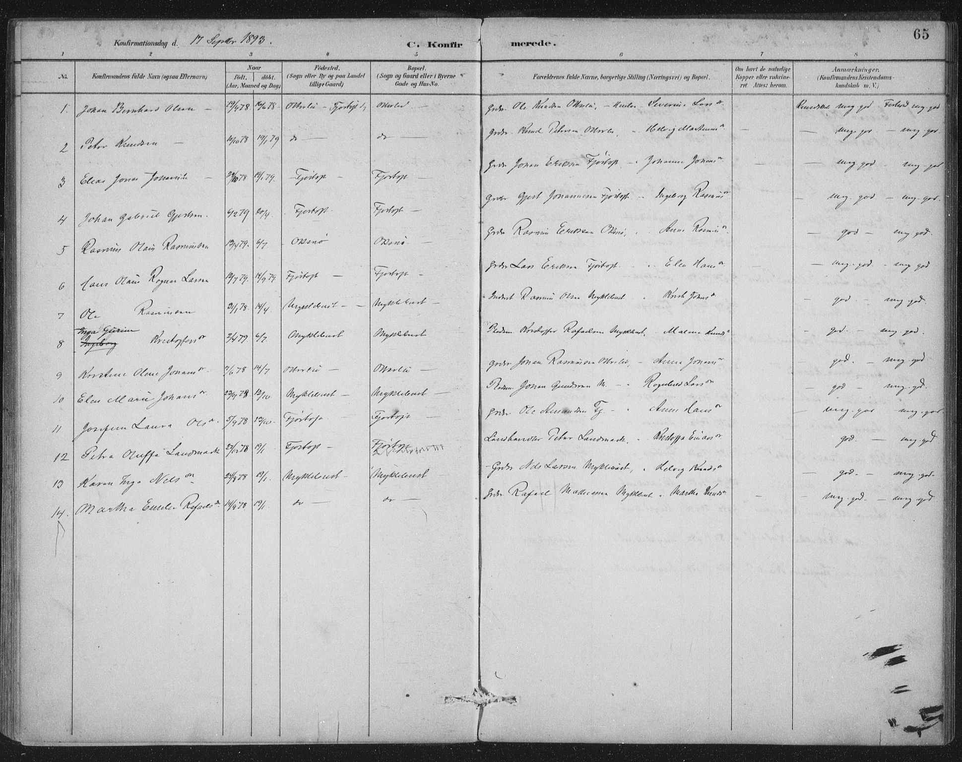 Ministerialprotokoller, klokkerbøker og fødselsregistre - Møre og Romsdal, SAT/A-1454/538/L0522: Parish register (official) no. 538A01, 1884-1913, p. 65