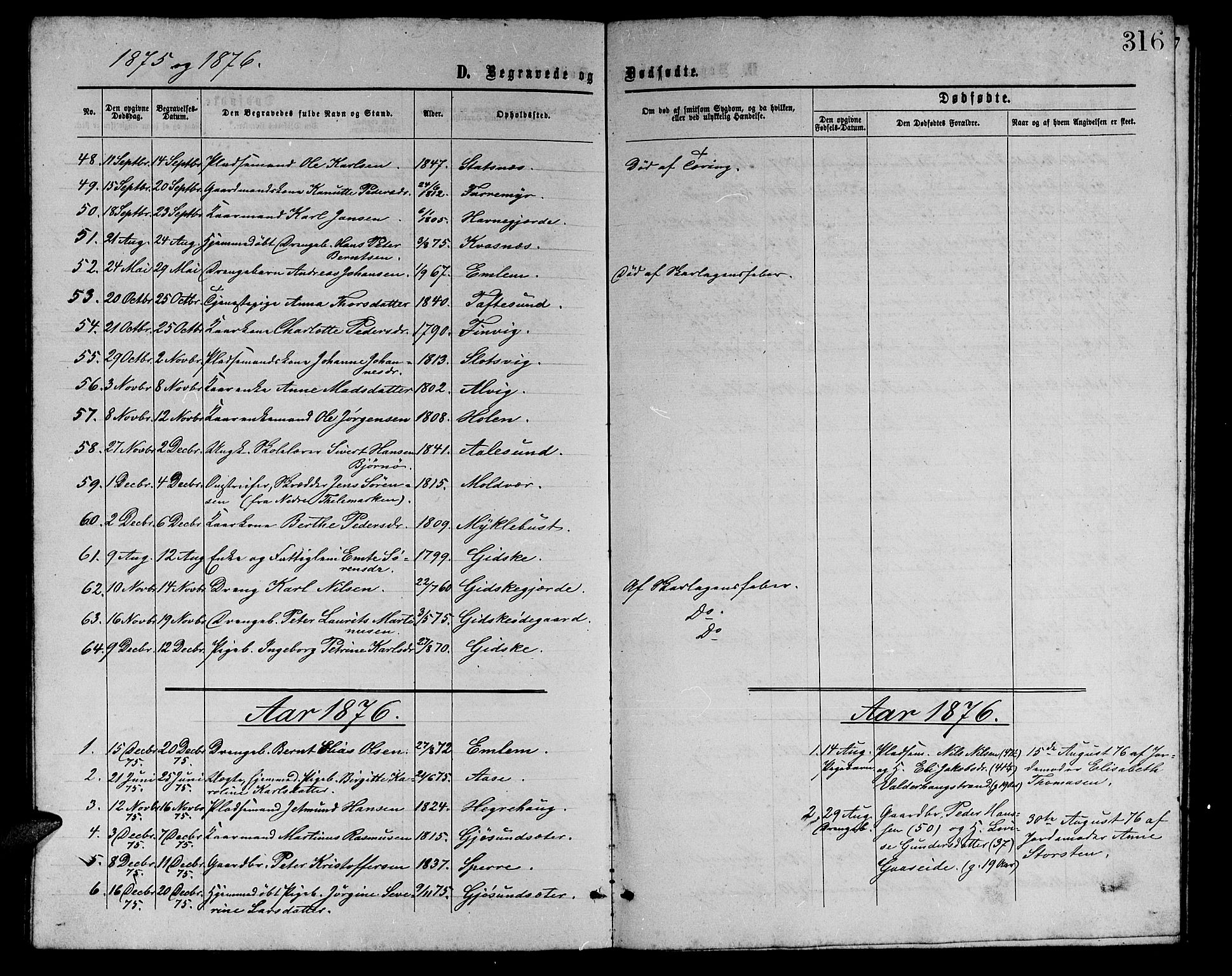 Ministerialprotokoller, klokkerbøker og fødselsregistre - Møre og Romsdal, SAT/A-1454/528/L0428: Parish register (copy) no. 528C09, 1864-1880, p. 316