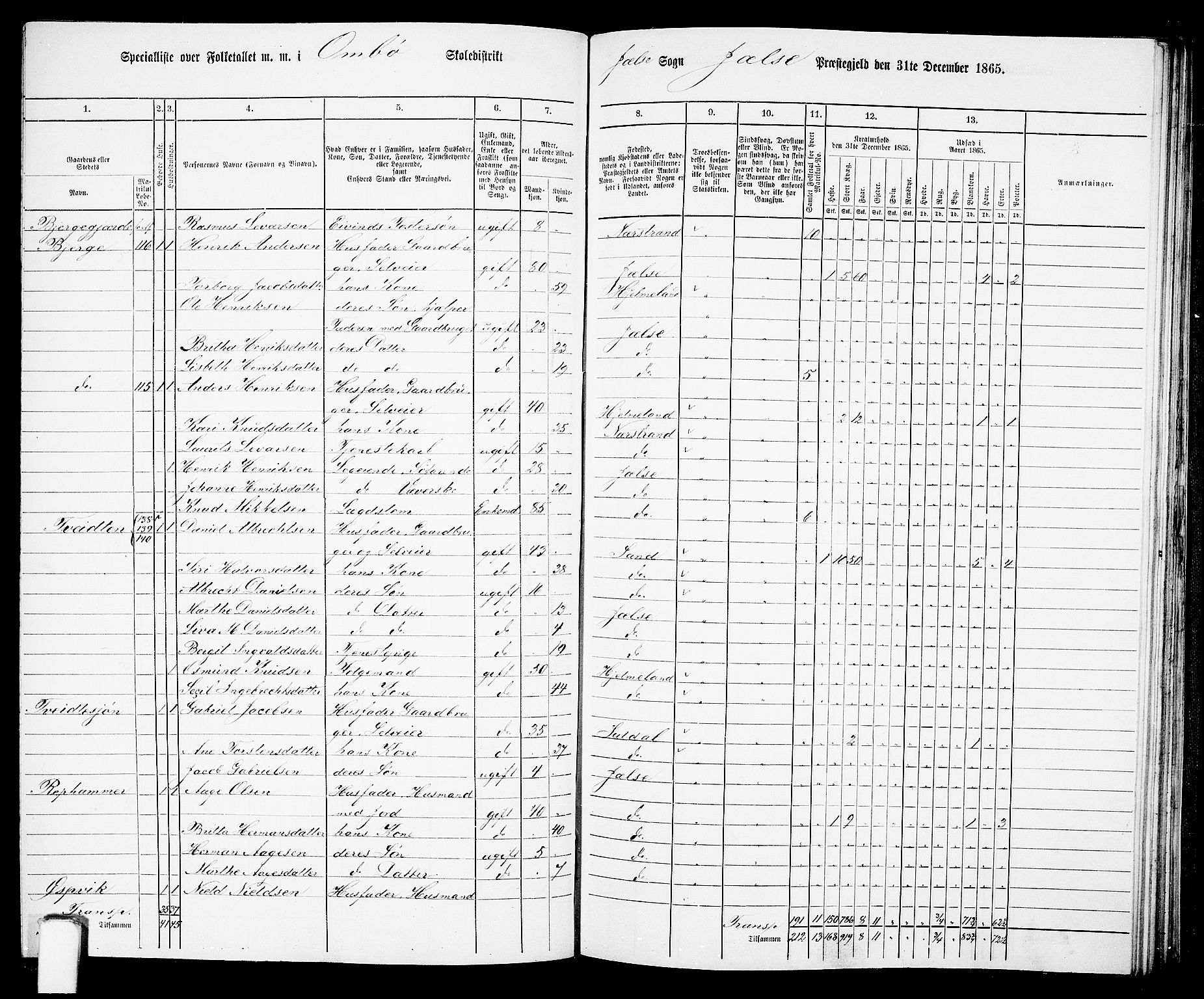 RA, 1865 census for Jelsa, 1865, p. 71