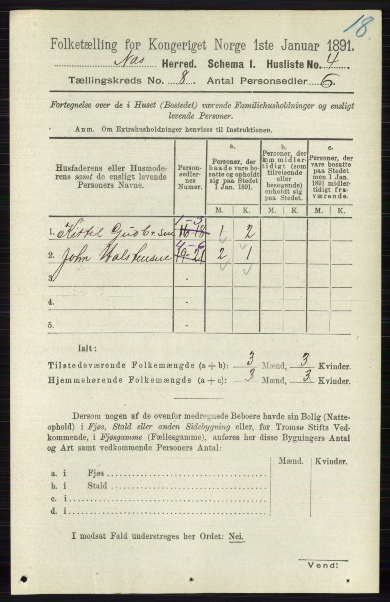 RA, 1891 census for 0616 Nes, 1891, p. 4051