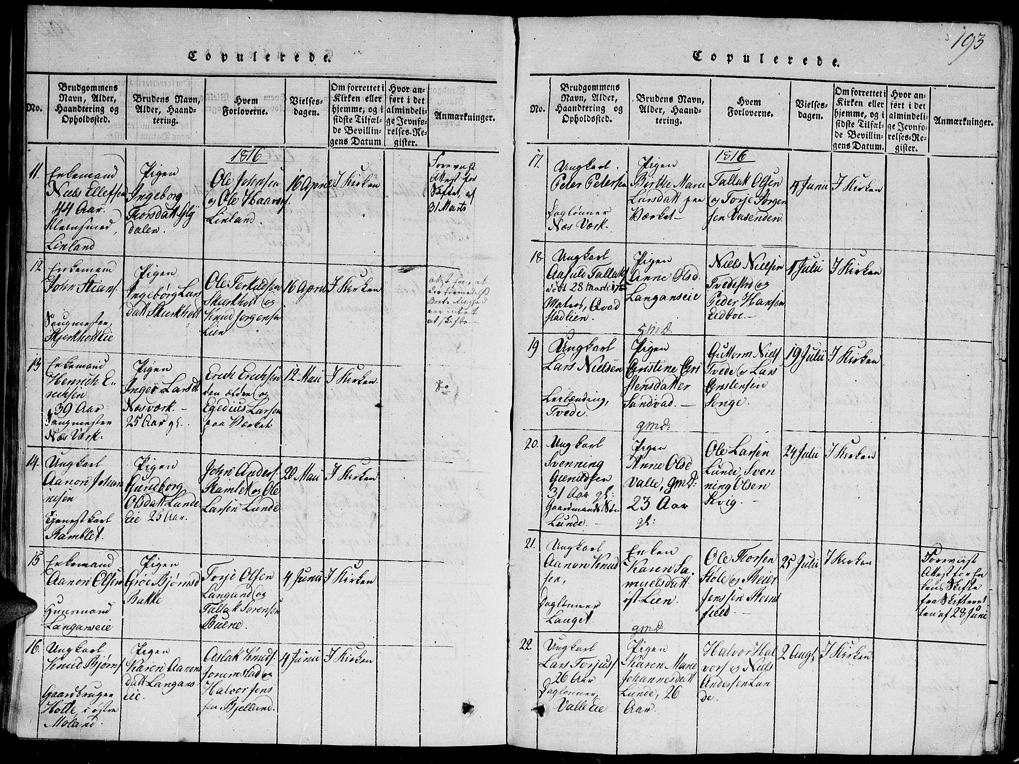 Holt sokneprestkontor, AV/SAK-1111-0021/F/Fb/L0006: Parish register (copy) no. B 6, 1813-1823, p. 193