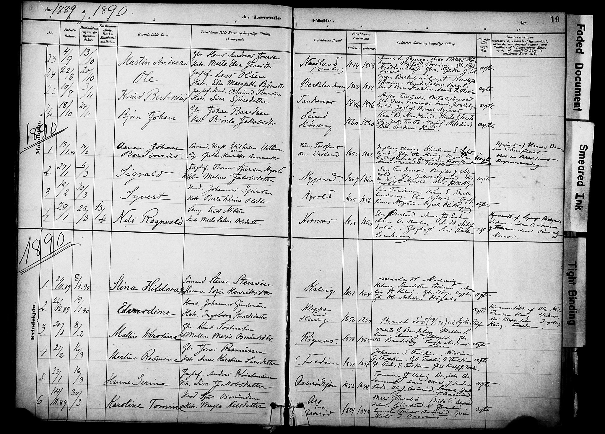 Jelsa sokneprestkontor, AV/SAST-A-101842/01/IV: Parish register (official) no. A 10, 1884-1906, p. 19