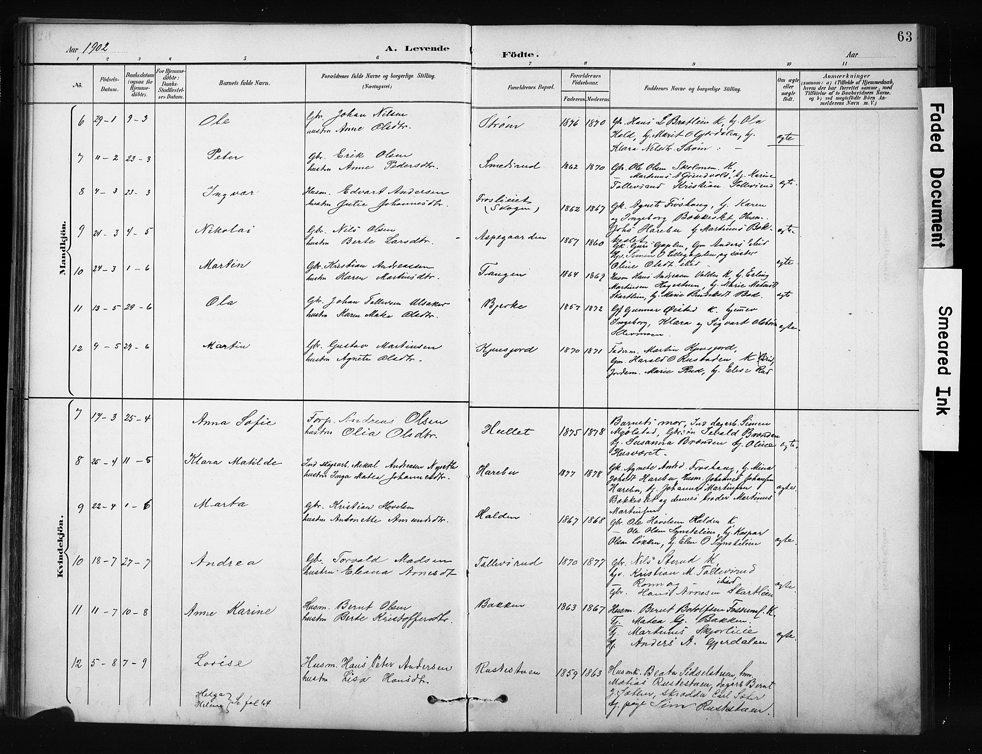 Nordre Land prestekontor, SAH/PREST-124/H/Ha/Hab/L0012: Parish register (copy) no. 12, 1891-1909, p. 63