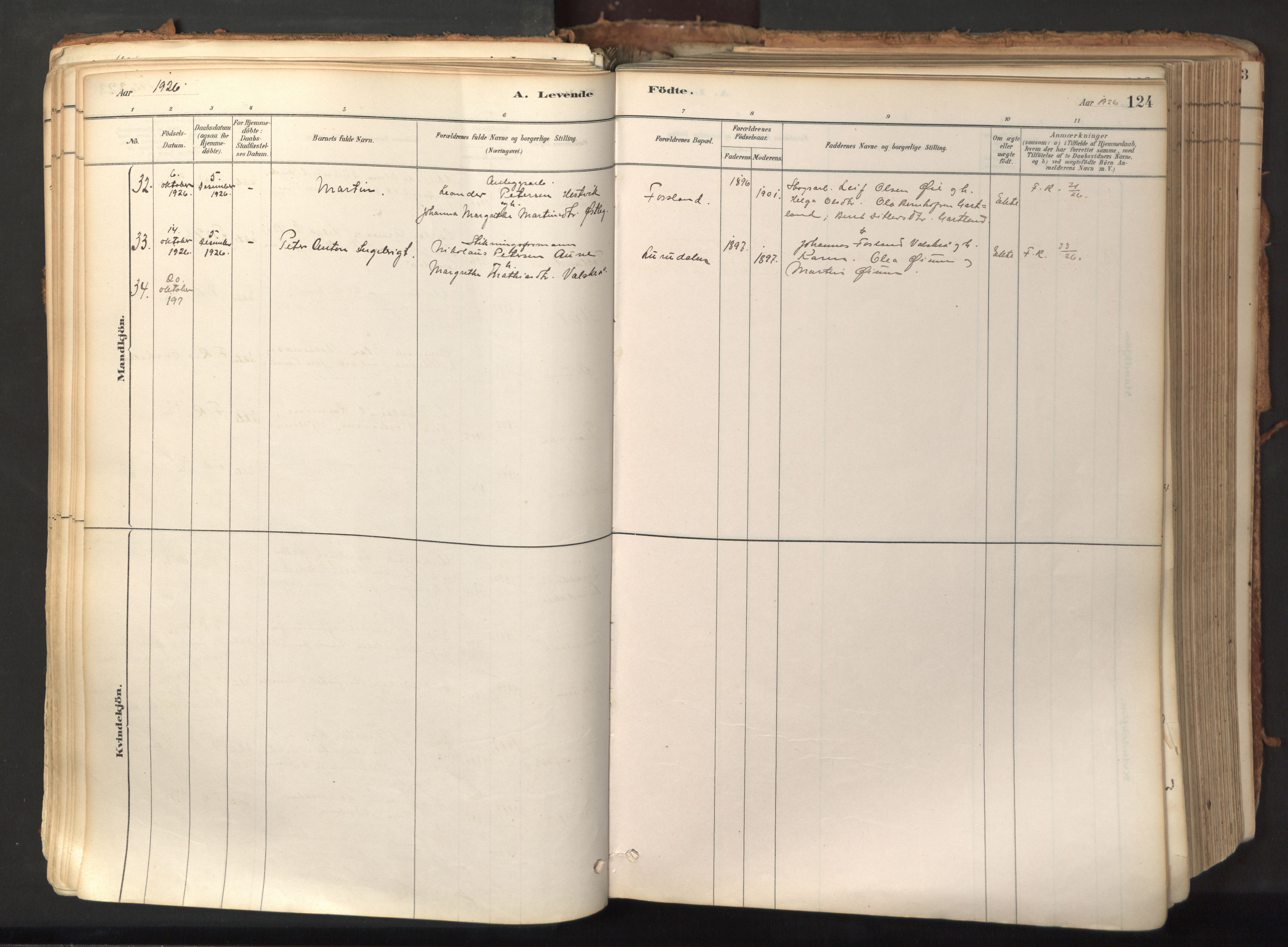 Ministerialprotokoller, klokkerbøker og fødselsregistre - Nord-Trøndelag, SAT/A-1458/758/L0519: Parish register (official) no. 758A04, 1880-1926, p. 124