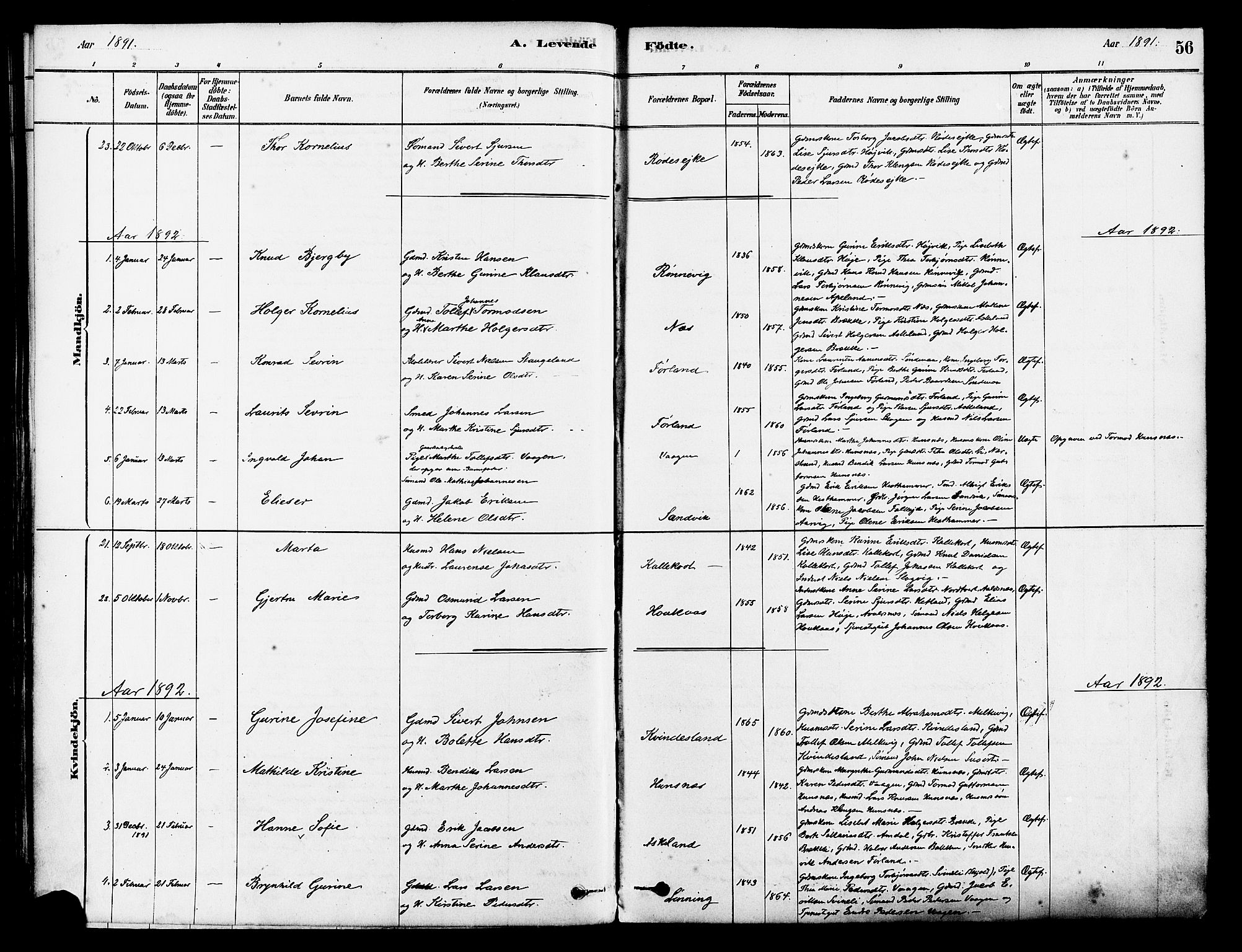 Tysvær sokneprestkontor, SAST/A -101864/H/Ha/Haa/L0006: Parish register (official) no. A 6, 1878-1896, p. 56