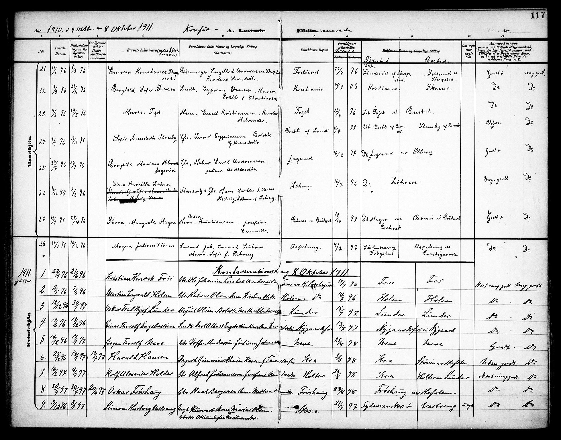 Høland prestekontor Kirkebøker, SAO/A-10346a/F/Fa/L0015: Parish register (official) no. I 15, 1897-1912, p. 117