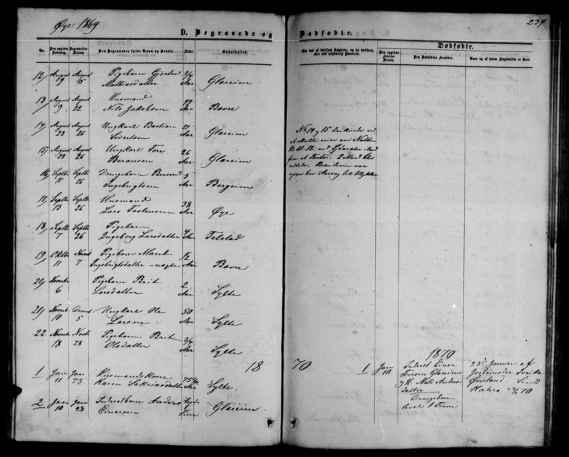 Ministerialprotokoller, klokkerbøker og fødselsregistre - Møre og Romsdal, SAT/A-1454/595/L1051: Parish register (copy) no. 595C03, 1866-1891, p. 234