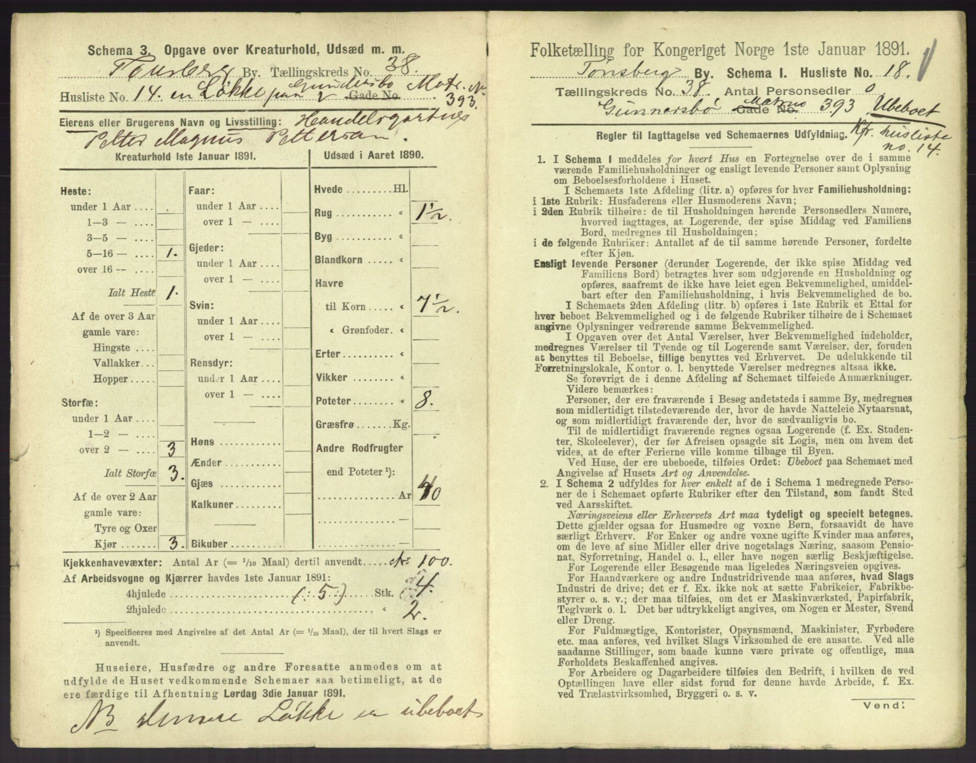 RA, 1891 census for 0705 Tønsberg, 1891, p. 1108