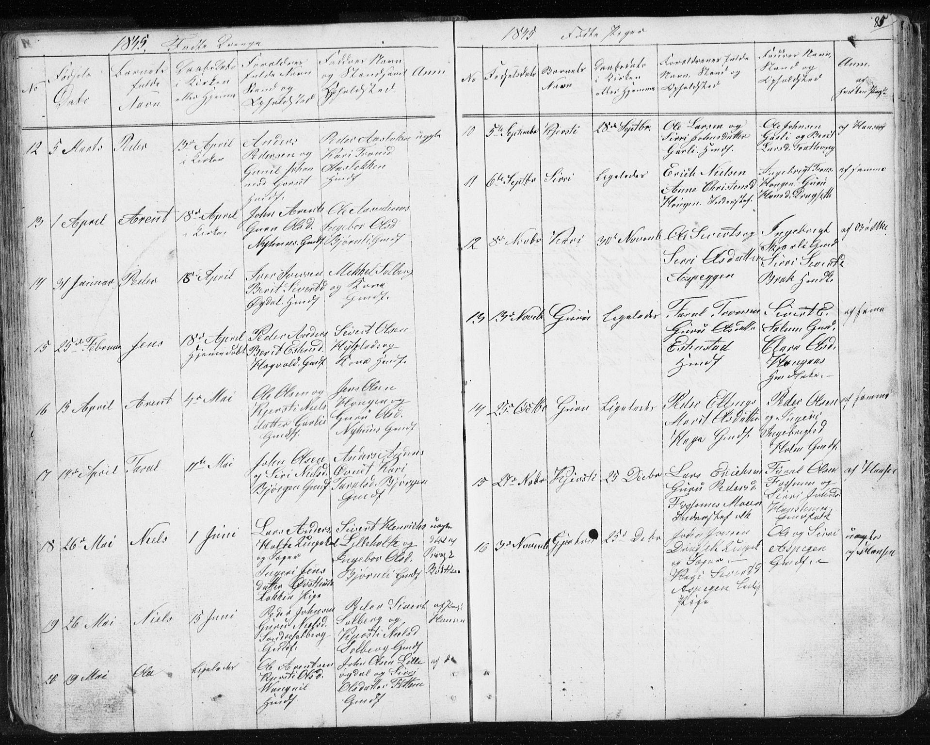 Ministerialprotokoller, klokkerbøker og fødselsregistre - Sør-Trøndelag, AV/SAT-A-1456/689/L1043: Parish register (copy) no. 689C02, 1816-1892, p. 85