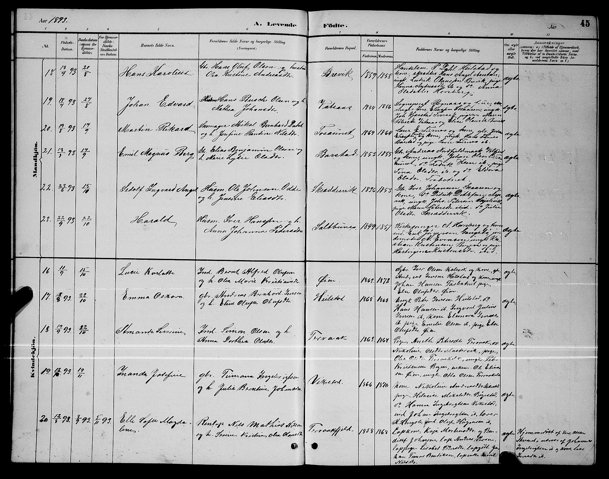 Ministerialprotokoller, klokkerbøker og fødselsregistre - Nordland, SAT/A-1459/810/L0160: Parish register (copy) no. 810C03, 1884-1896, p. 45