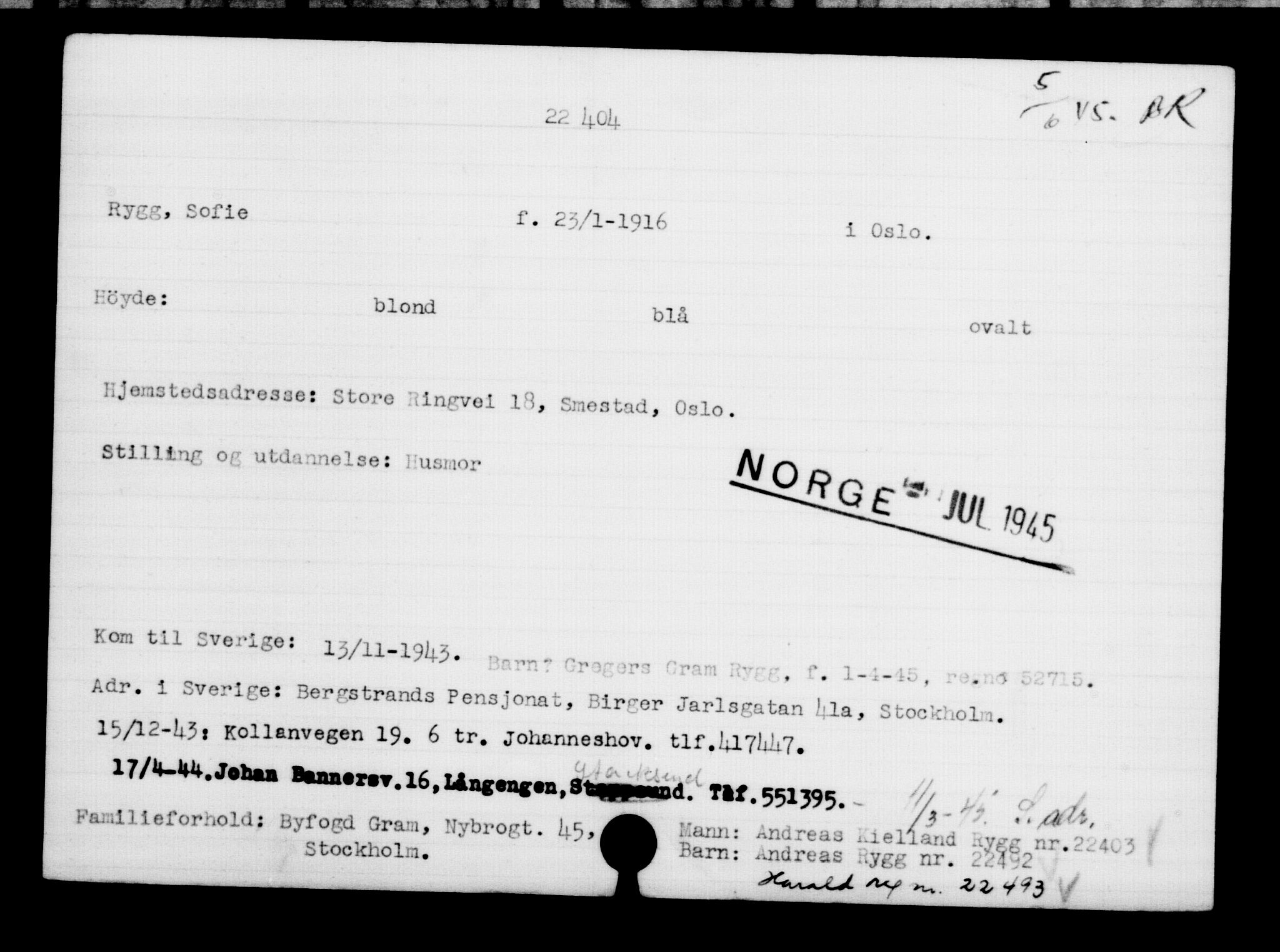 Den Kgl. Norske Legasjons Flyktningskontor, RA/S-6753/V/Va/L0010: Kjesäterkartoteket.  Flyktningenr. 22000-25314, 1940-1945, p. 445