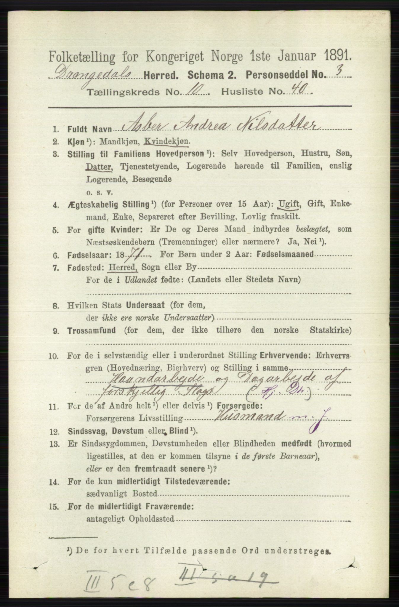 RA, 1891 census for 0817 Drangedal, 1891, p. 3679