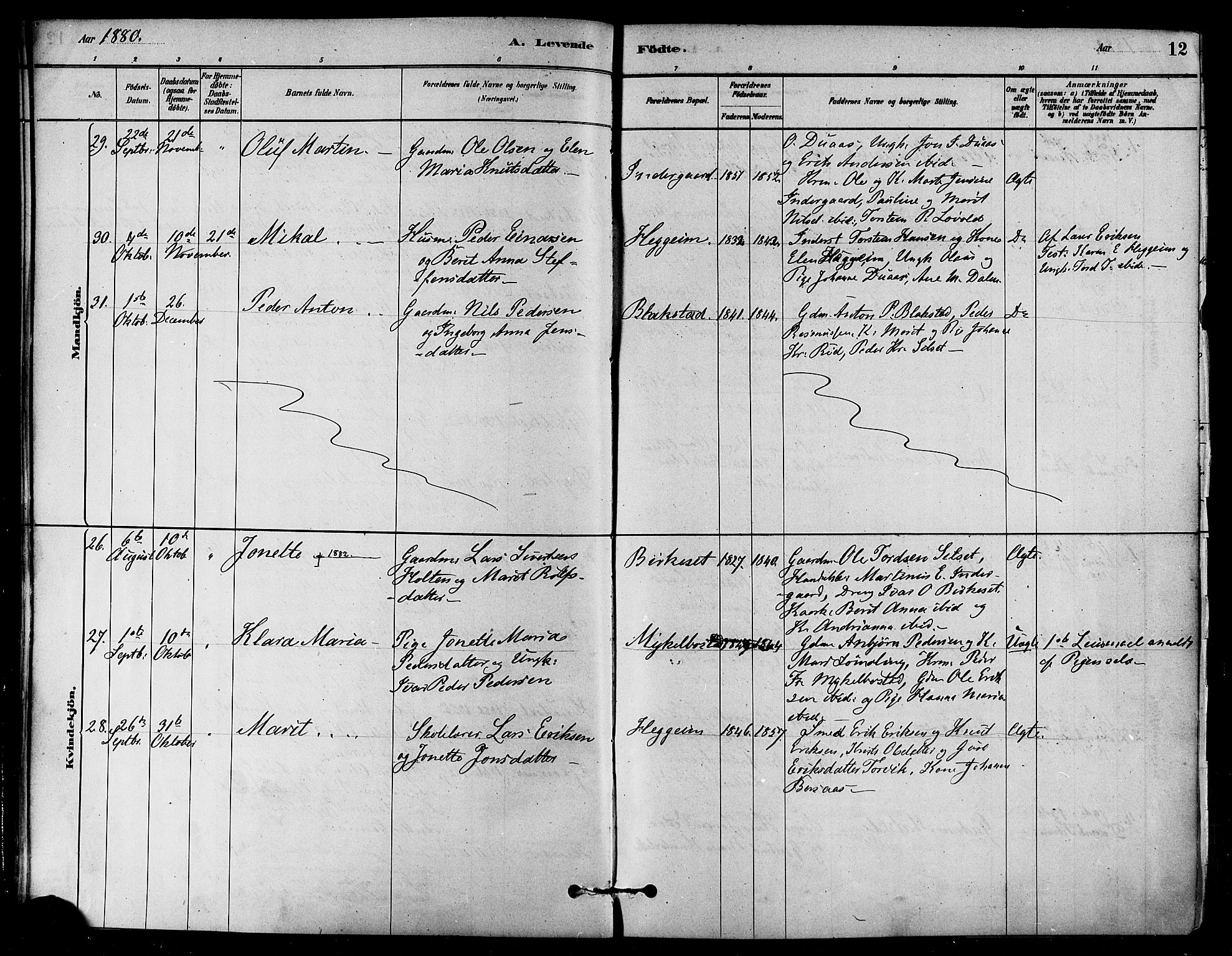 Ministerialprotokoller, klokkerbøker og fødselsregistre - Møre og Romsdal, AV/SAT-A-1454/584/L0967: Parish register (official) no. 584A07, 1879-1894, p. 12