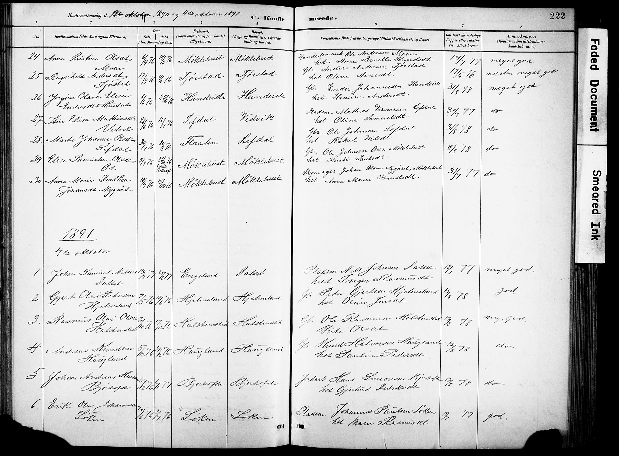 Eid sokneprestembete, AV/SAB-A-82301/H/Hab/Habb/L0002: Parish register (copy) no. B 2, 1882-1907, p. 222