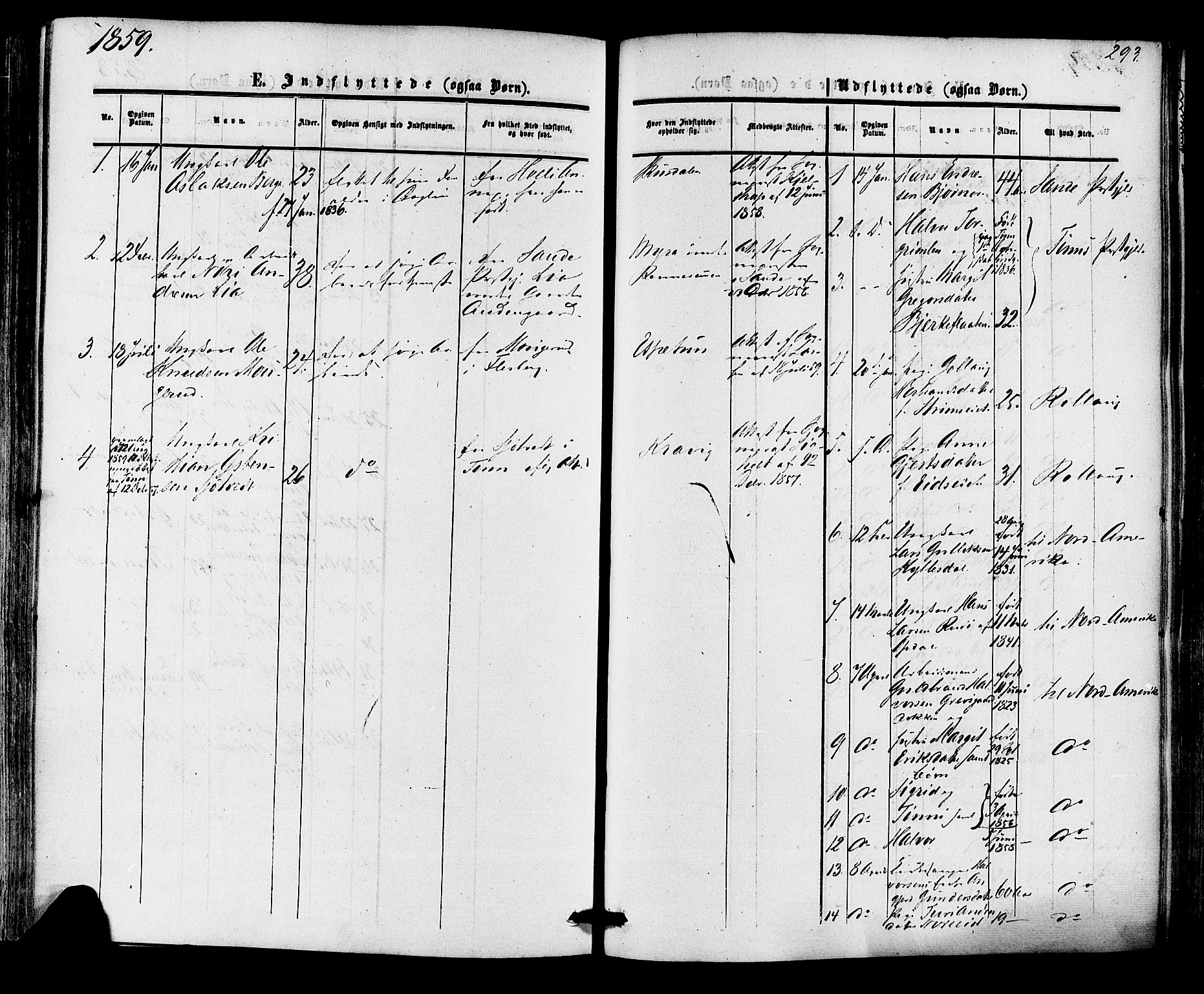 Nore kirkebøker, SAKO/A-238/F/Fa/L0003: Parish register (official) no. I 3, 1858-1866, p. 293