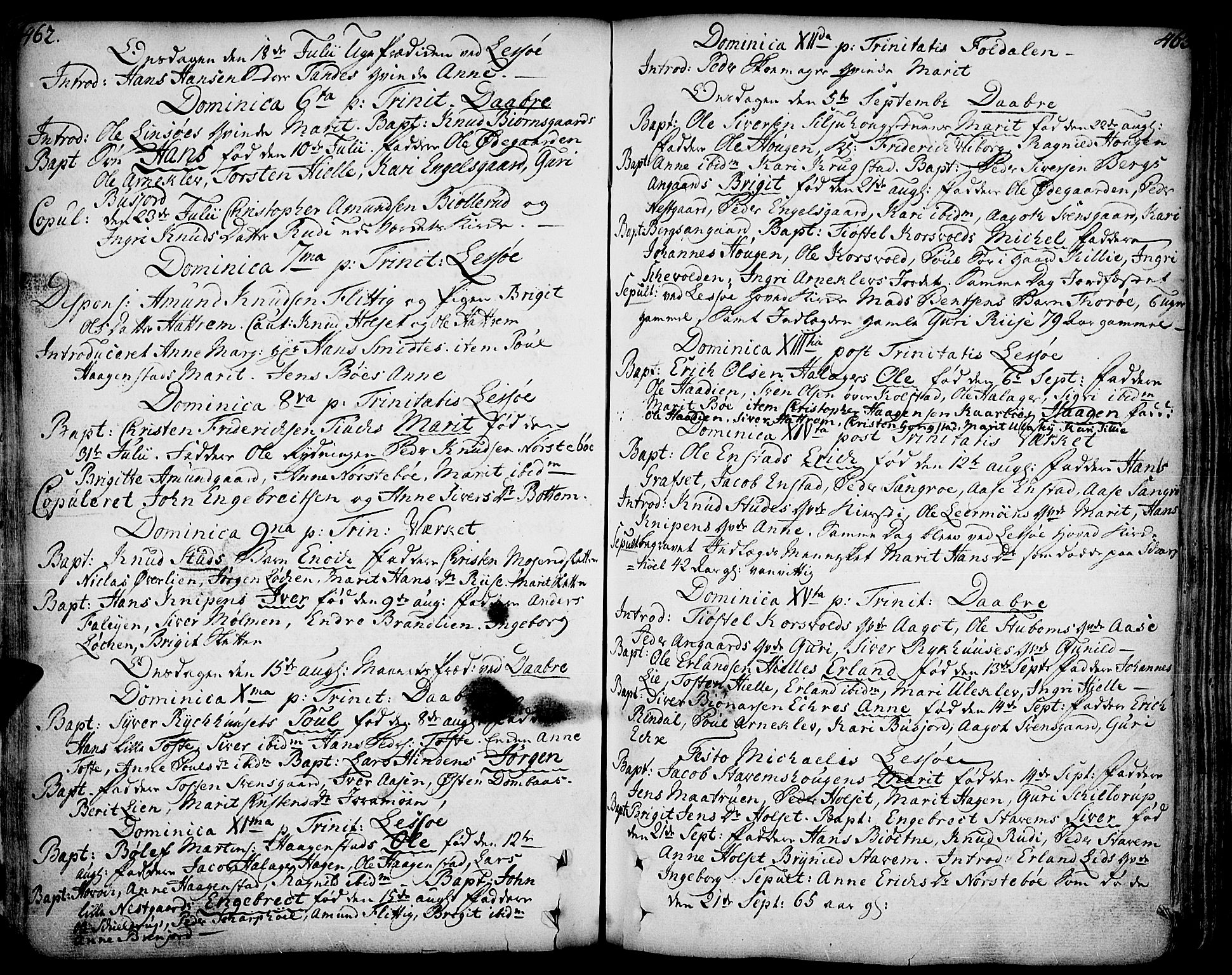 Lesja prestekontor, AV/SAH-PREST-068/H/Ha/Haa/L0002: Parish register (official) no. 2, 1732-1776, p. 462-463
