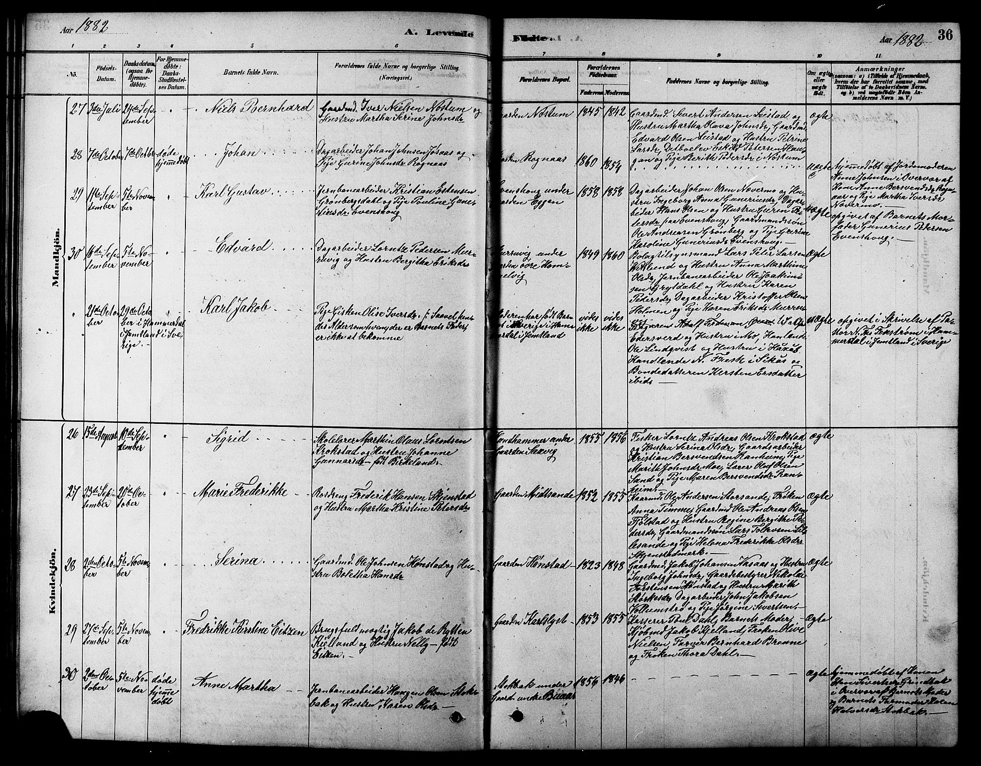 Ministerialprotokoller, klokkerbøker og fødselsregistre - Sør-Trøndelag, AV/SAT-A-1456/616/L0423: Parish register (copy) no. 616C06, 1878-1903, p. 36