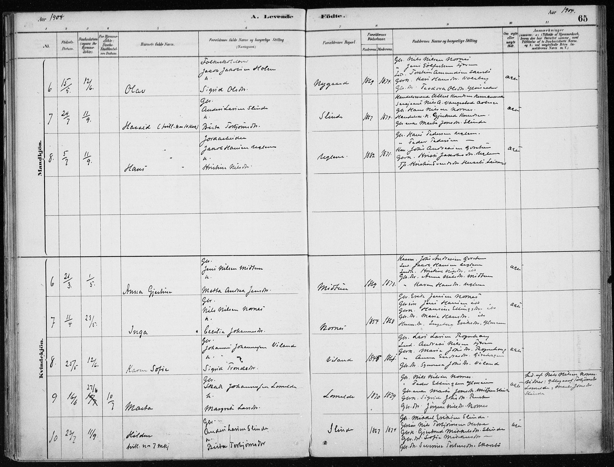 Sogndal sokneprestembete, AV/SAB-A-81301/H/Haa/Haac/L0001: Parish register (official) no. C 1, 1878-1907, p. 65