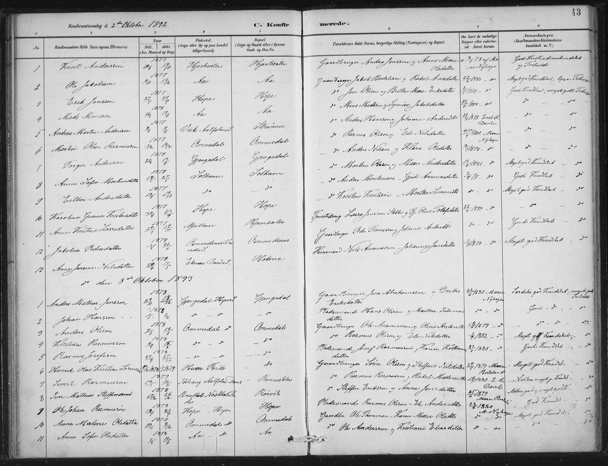 Gloppen sokneprestembete, SAB/A-80101/H/Haa/Haae/L0001: Parish register (official) no. E  1, 1885-1904, p. 43