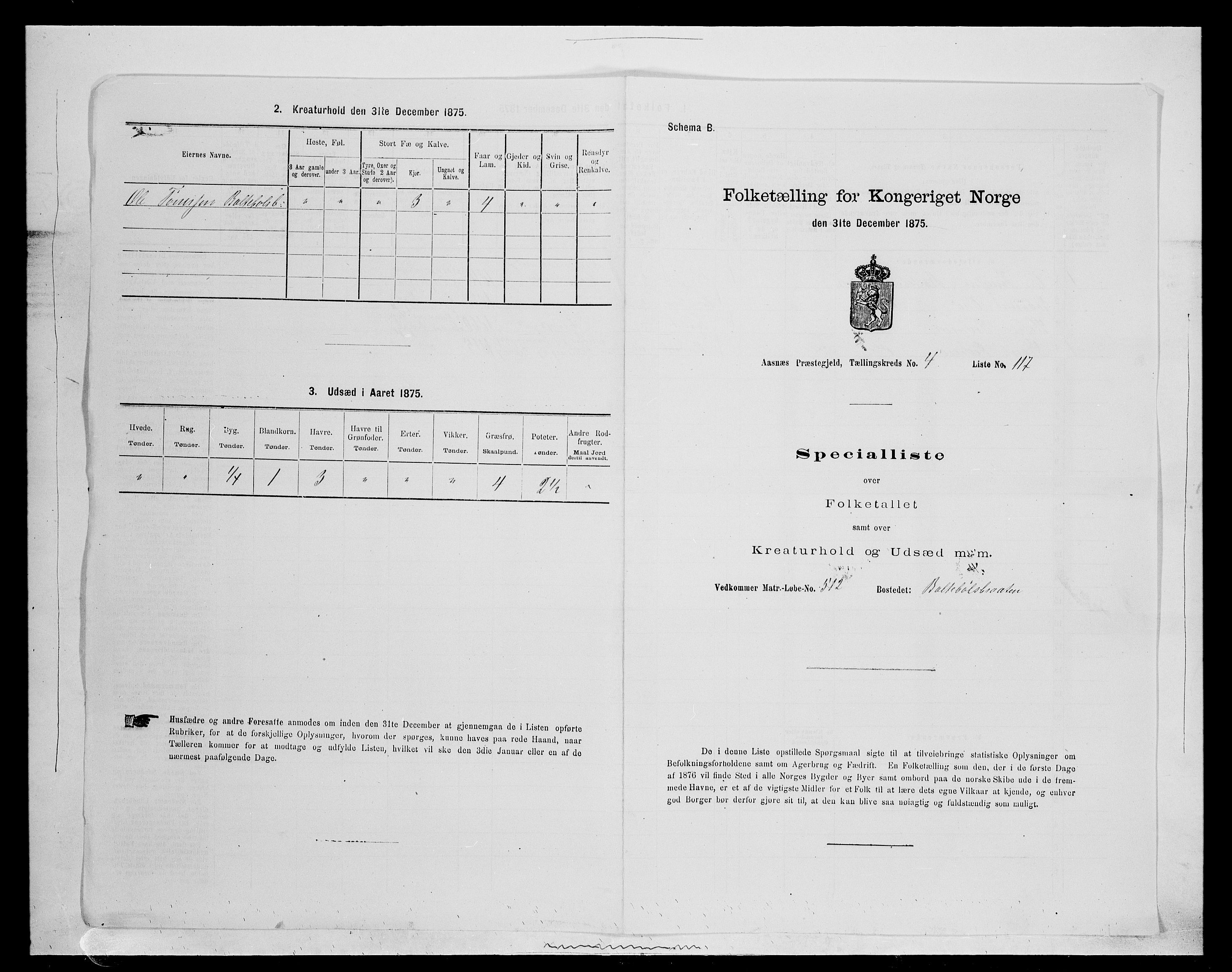 SAH, 1875 census for 0425P Åsnes, 1875, p. 690