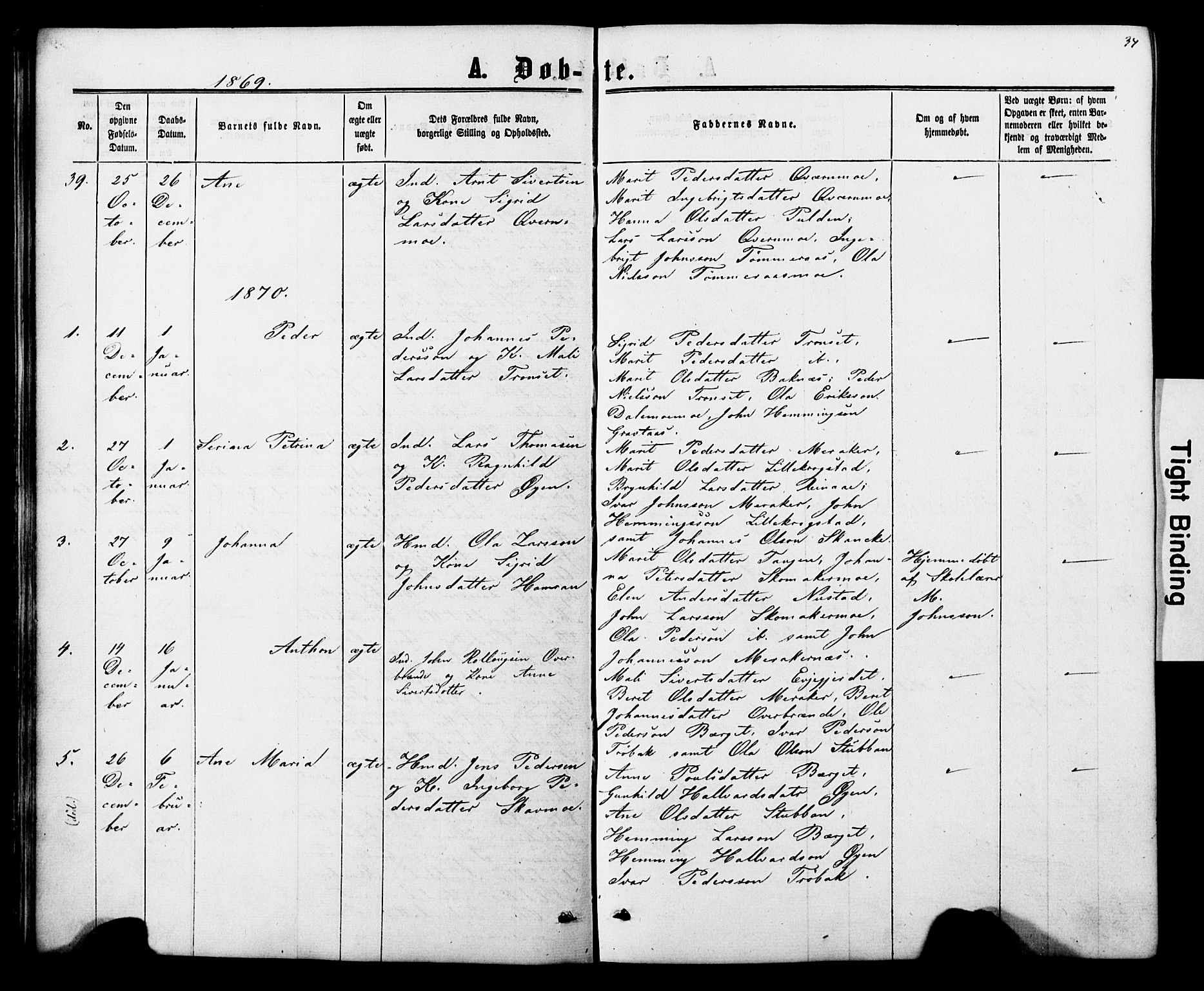 Ministerialprotokoller, klokkerbøker og fødselsregistre - Nord-Trøndelag, AV/SAT-A-1458/706/L0049: Parish register (copy) no. 706C01, 1864-1895, p. 34