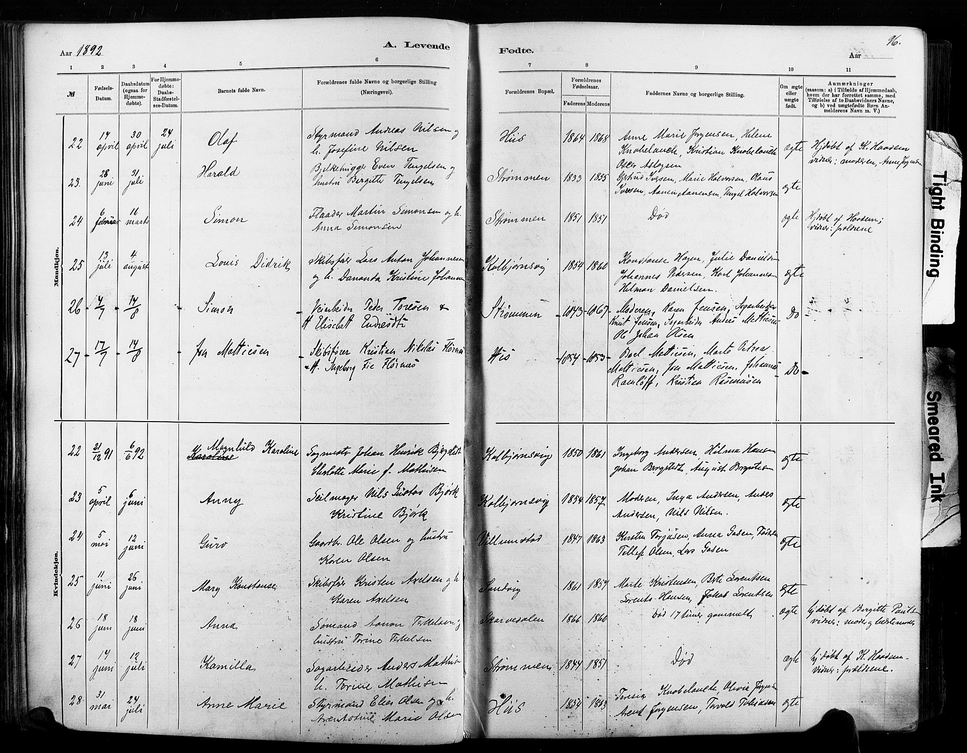 Hisøy sokneprestkontor, AV/SAK-1111-0020/F/Fa/L0003: Parish register (official) no. A 3, 1881-1894, p. 96