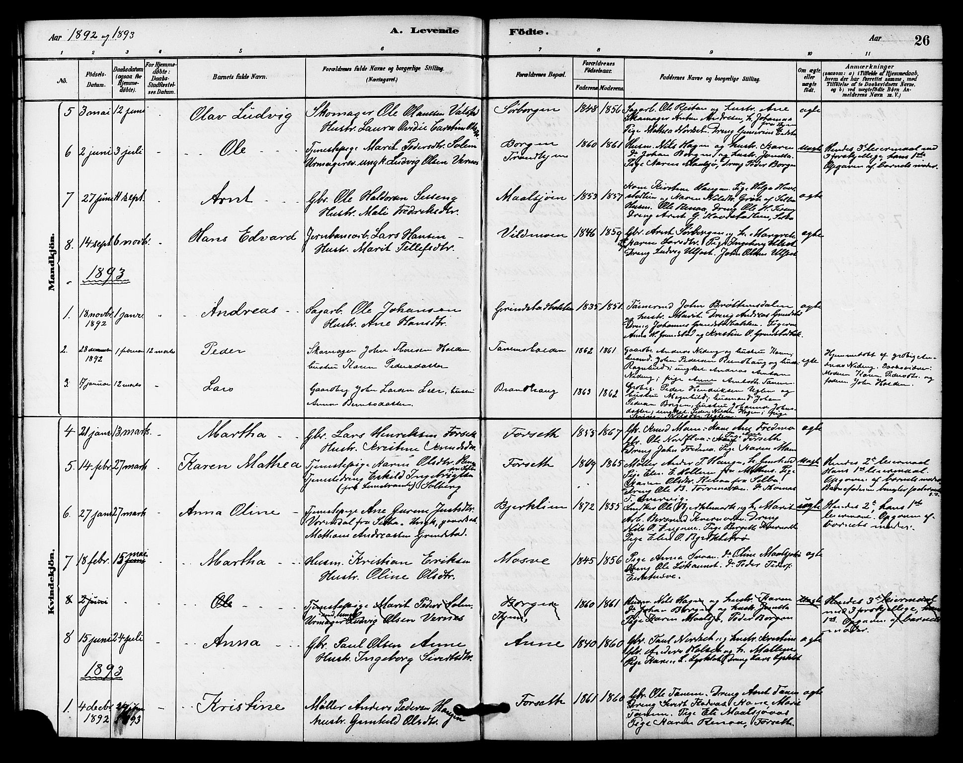 Ministerialprotokoller, klokkerbøker og fødselsregistre - Sør-Trøndelag, SAT/A-1456/618/L0444: Parish register (official) no. 618A07, 1880-1898, p. 26