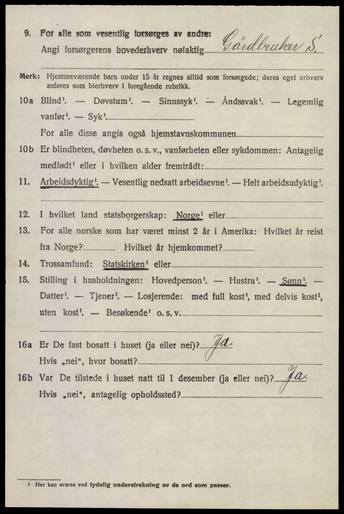 SAKO, 1920 census for Brunlanes, 1920, p. 3348