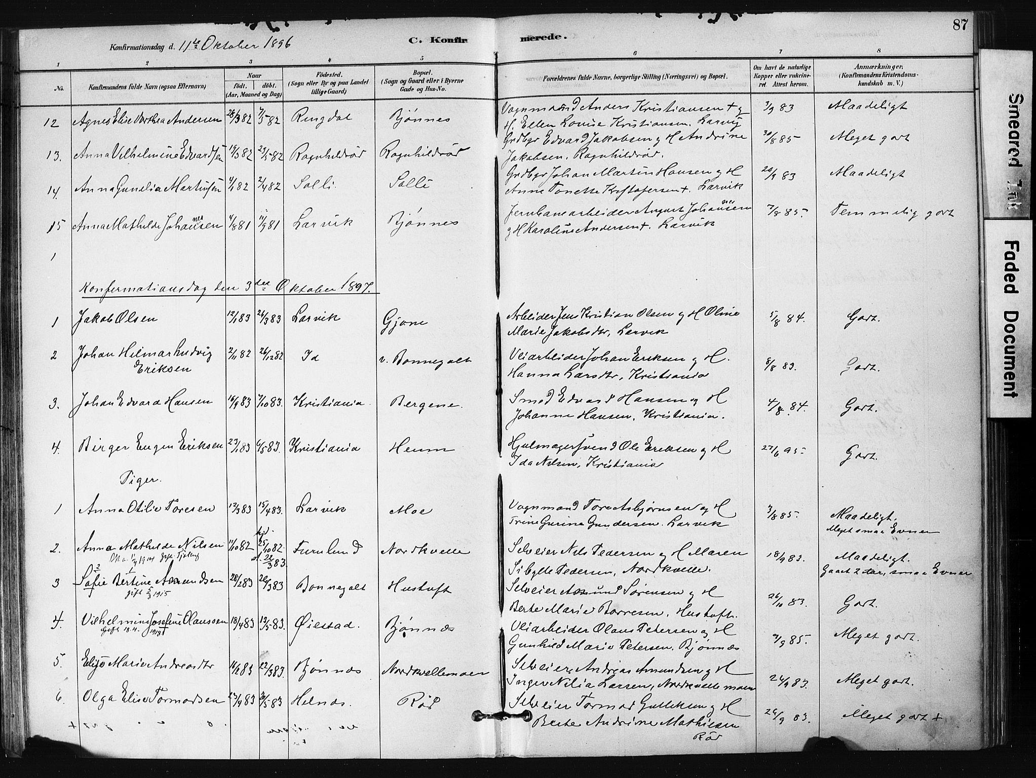 Hedrum kirkebøker, AV/SAKO-A-344/F/Fb/L0001: Parish register (official) no. II 1, 1881-1905, p. 87