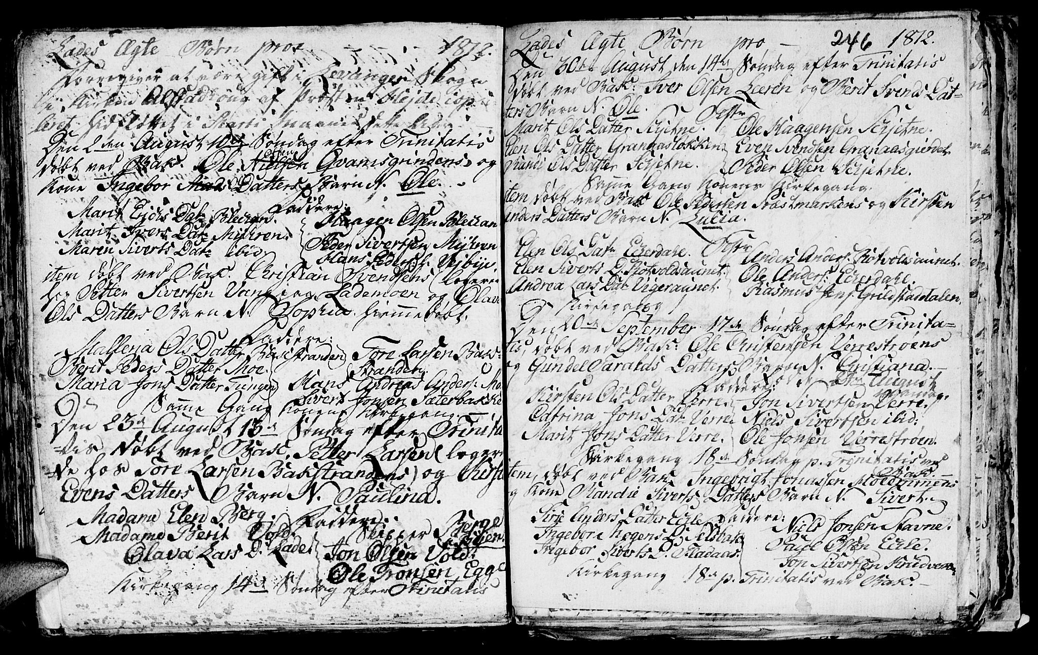 Ministerialprotokoller, klokkerbøker og fødselsregistre - Sør-Trøndelag, SAT/A-1456/606/L0305: Parish register (copy) no. 606C01, 1757-1819, p. 246