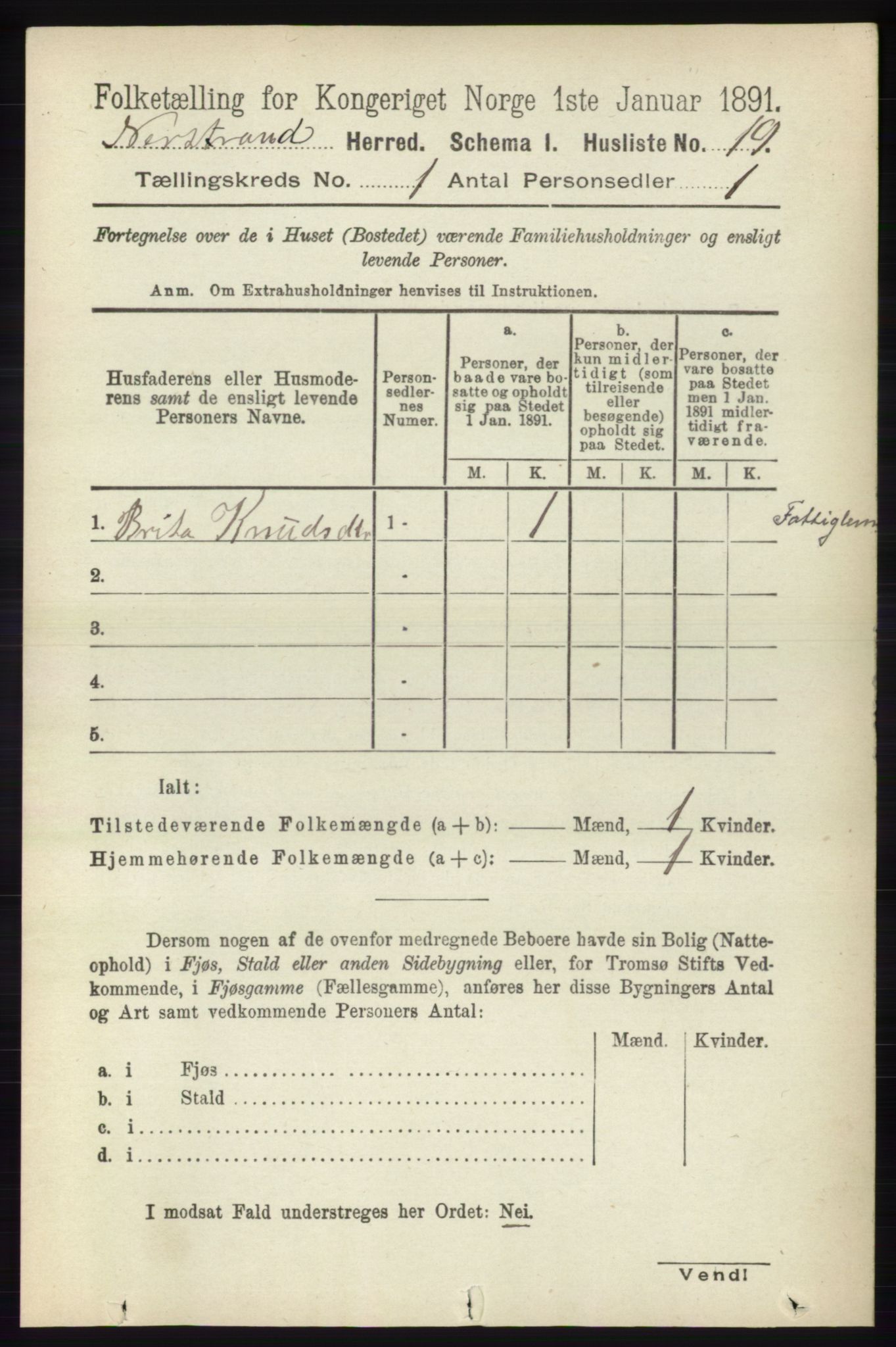 RA, 1891 census for 1139 Nedstrand, 1891, p. 45