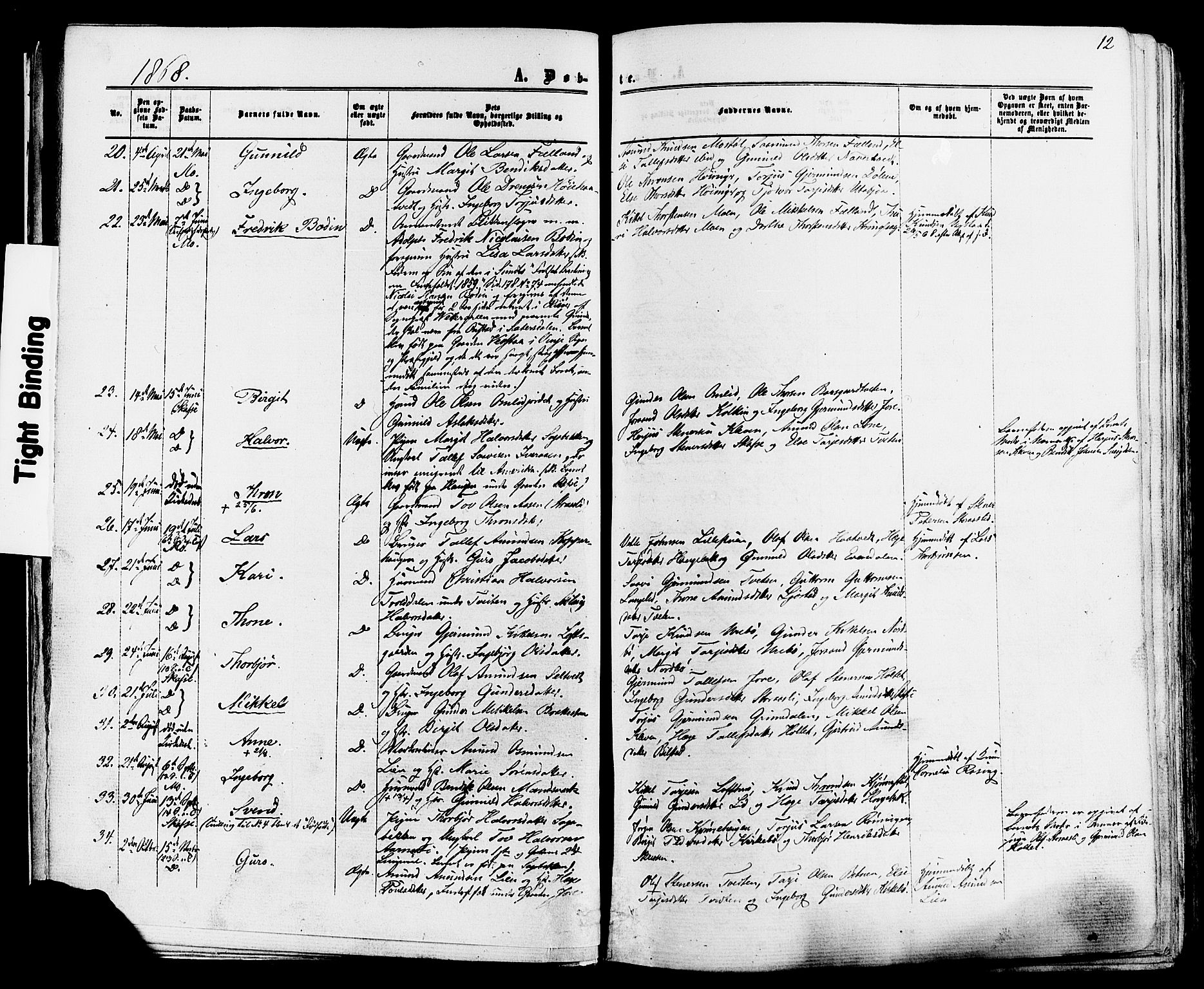 Mo kirkebøker, SAKO/A-286/F/Fa/L0006: Parish register (official) no. I 6, 1865-1885, p. 12