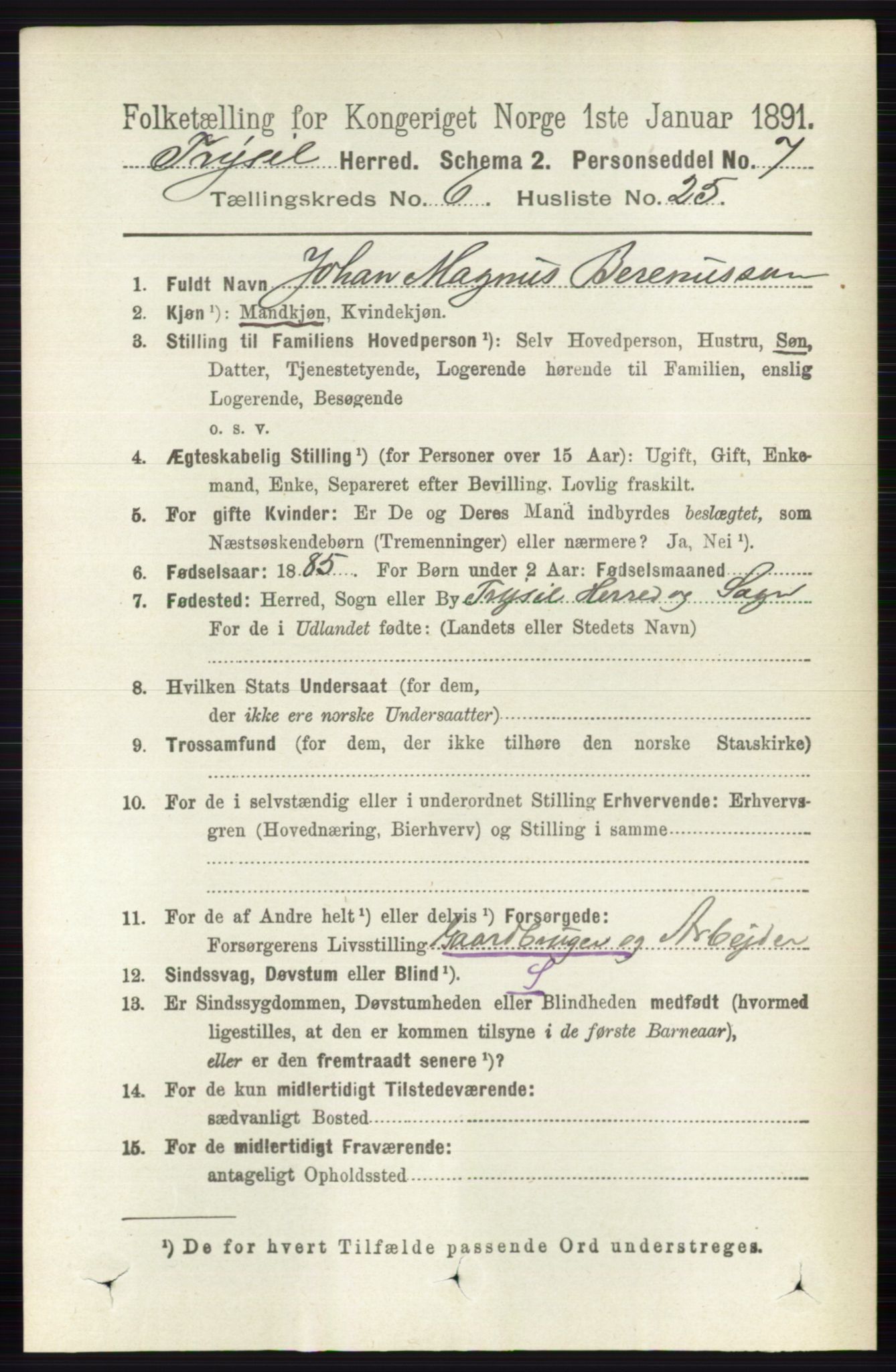 RA, 1891 census for 0428 Trysil, 1891, p. 2996