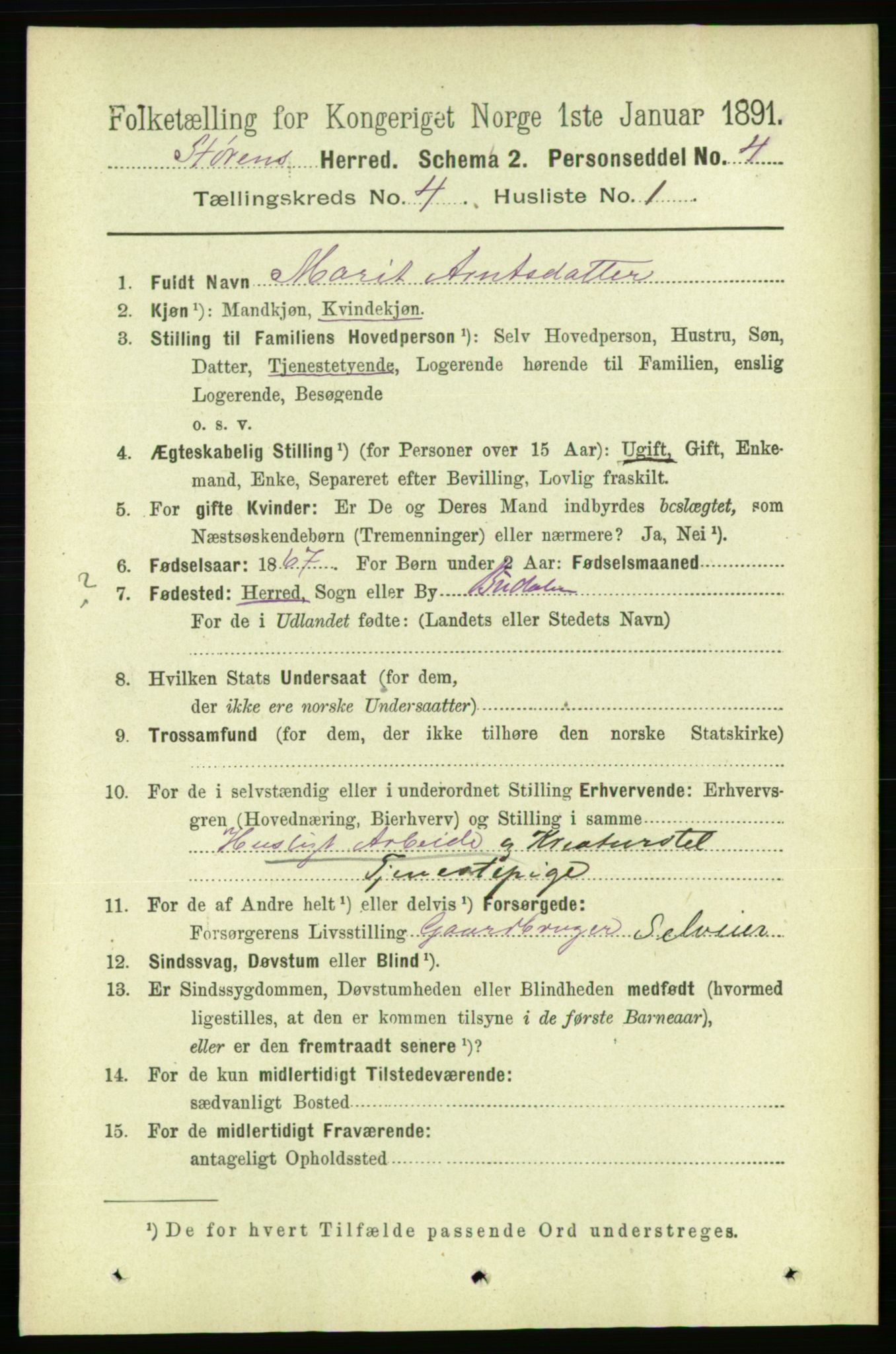 RA, 1891 census for 1648 Støren, 1891, p. 1294