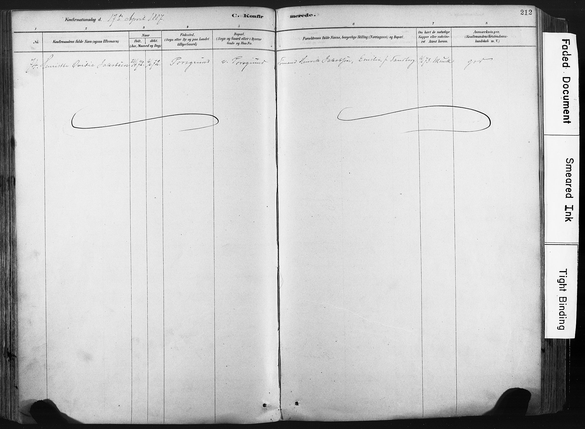 Porsgrunn kirkebøker , SAKO/A-104/F/Fa/L0008: Parish register (official) no. 8, 1878-1895, p. 212