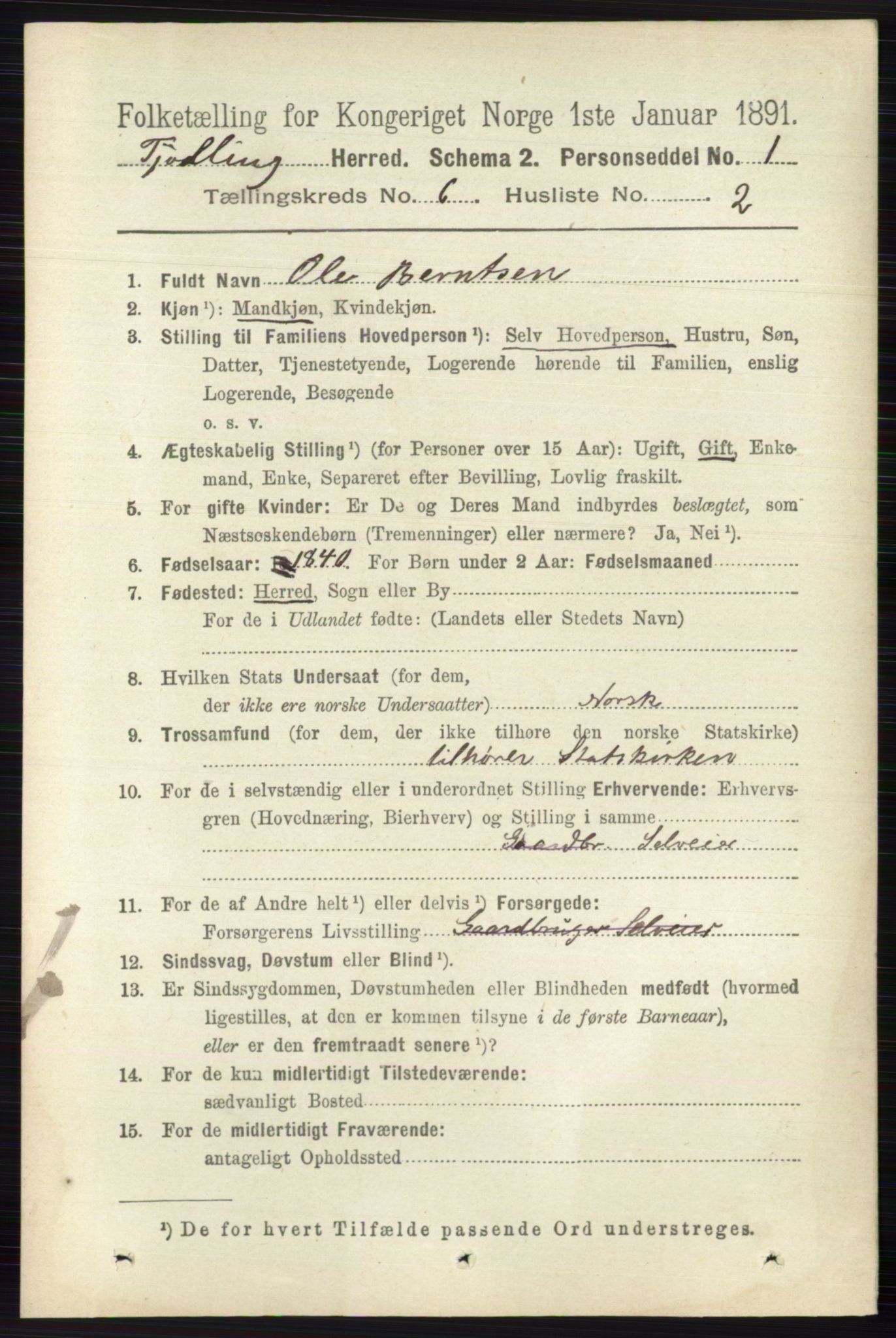 RA, 1891 census for 0725 Tjølling, 1891, p. 2907