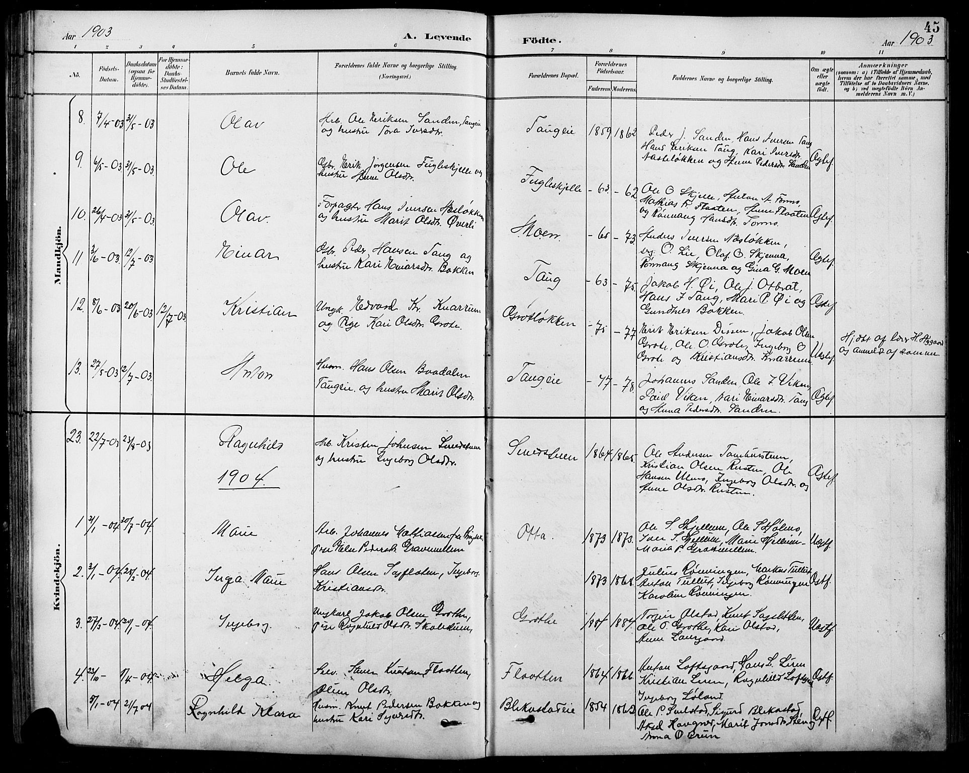 Sel prestekontor, SAH/PREST-074/H/Ha/Hab/L0001: Parish register (copy) no. 1, 1894-1923, p. 45