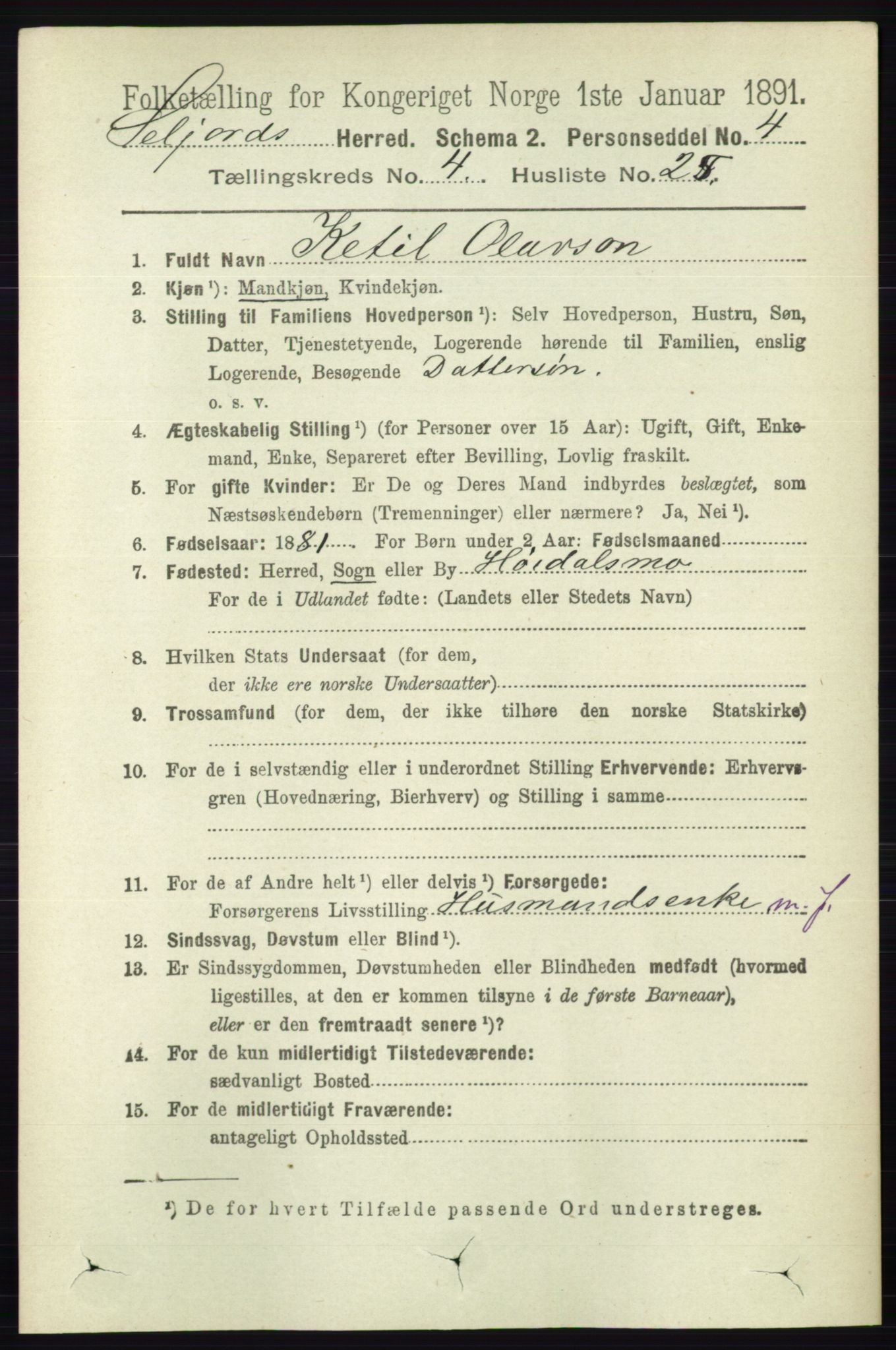 RA, 1891 census for 0828 Seljord, 1891, p. 1426
